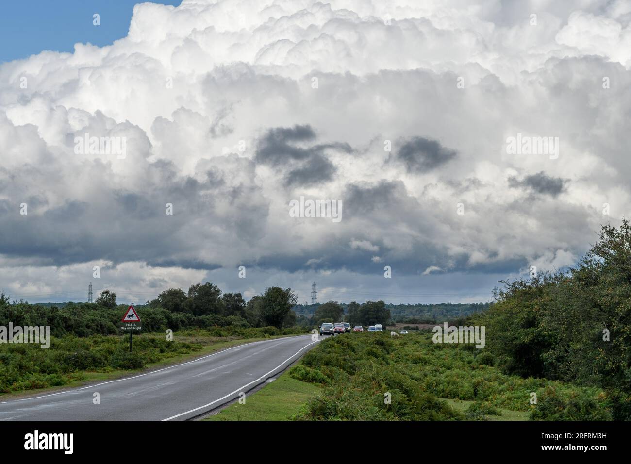 Godshill, New Forest, Hampshire, UK, 5th August 2023, Weather: Cumulonimbus cloud as heavy rain showers and darkened skies in the afternoon as the tail of Storm Antoni passes over southern England. Credit: Paul Biggins/Alamy Live News Stock Photo