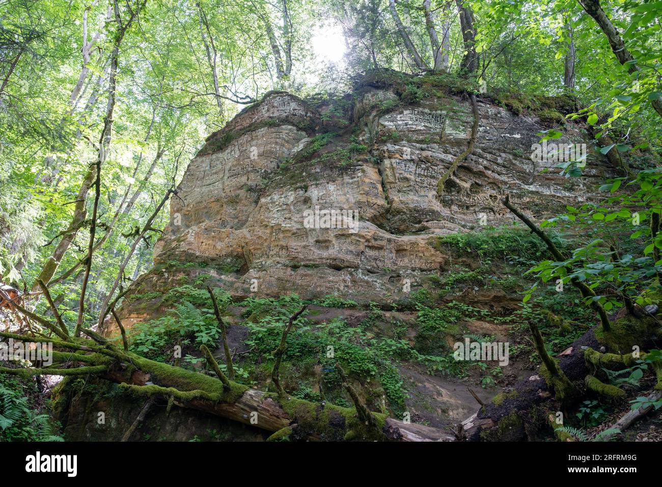 Sandstone cliff at Incukalna Velnala Cave in the Gauja National Park, Latvia Stock Photo