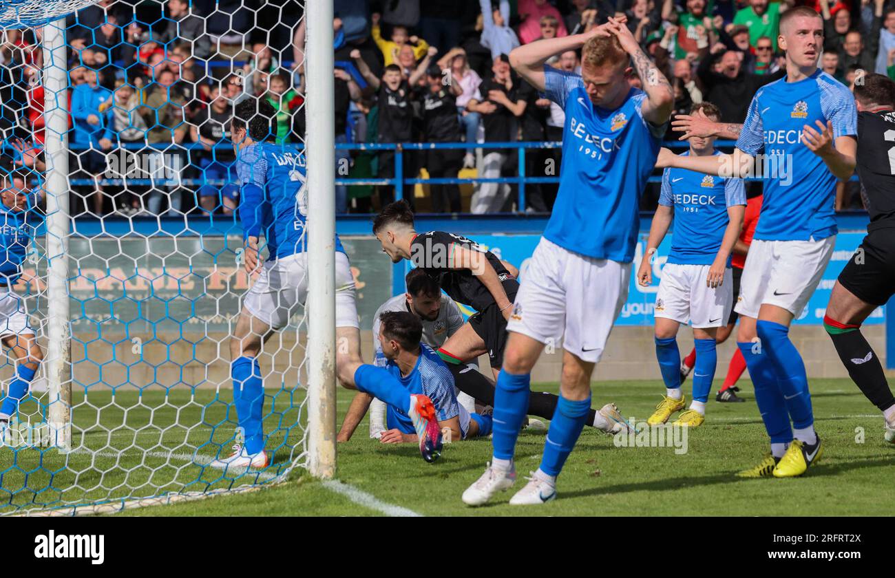 Mourneview Park, Lurgan, County Armagh, Northern Ireland, UK. 05 Aug 2023. Sports Direct Premiership – Glenavon v Glentoran, Premiership season opener. Action from today's game at Mourneview Park (Glenavon in blue). Glentoran's Jay Donnelly (9) scpring and celebrating a late winner at Mourneview Park as the visitors won 1-0.JayCredit: CAZIMB/Alamy Live News. Stock Photo