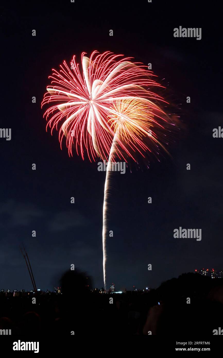 Tokyo, Japan. 5th Aug, 2023. Fireworks light up the sky over the people ...