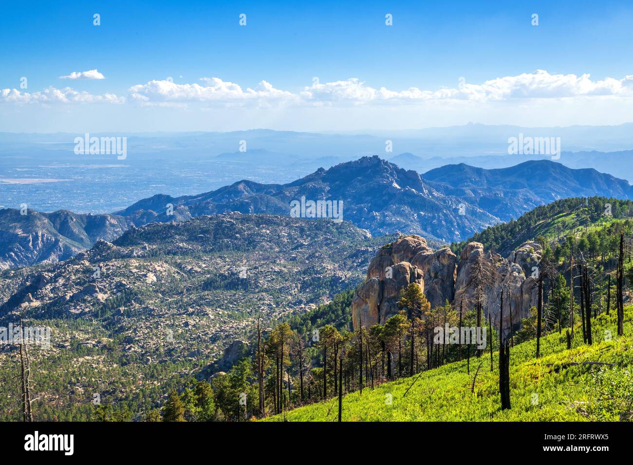 The Meadow Trail offers a view of Tucson in August, Mount Lemmon, Santa Catalina Mountains,  Coronado National Forest, Summerhaven, Arizona, USA. (PHO Stock Photo