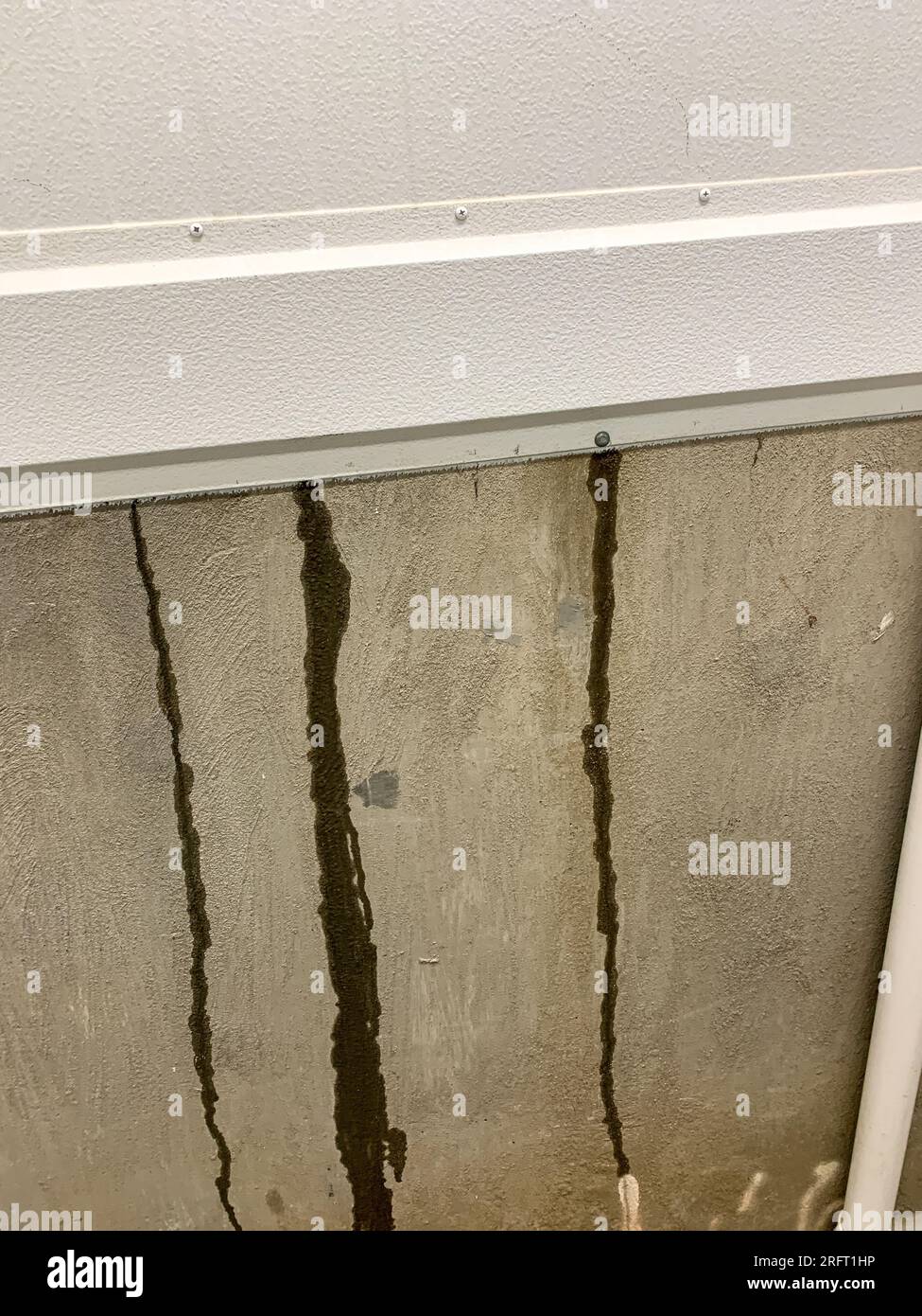 Water leaking down new construction wall on the inside . High quality