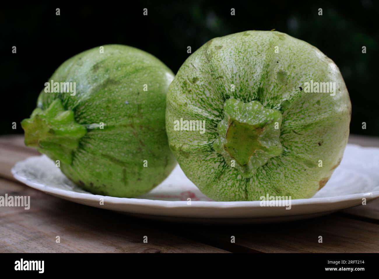 An almost matching pair of globular round courgettes - comedy fruit and vegetables Stock Photo