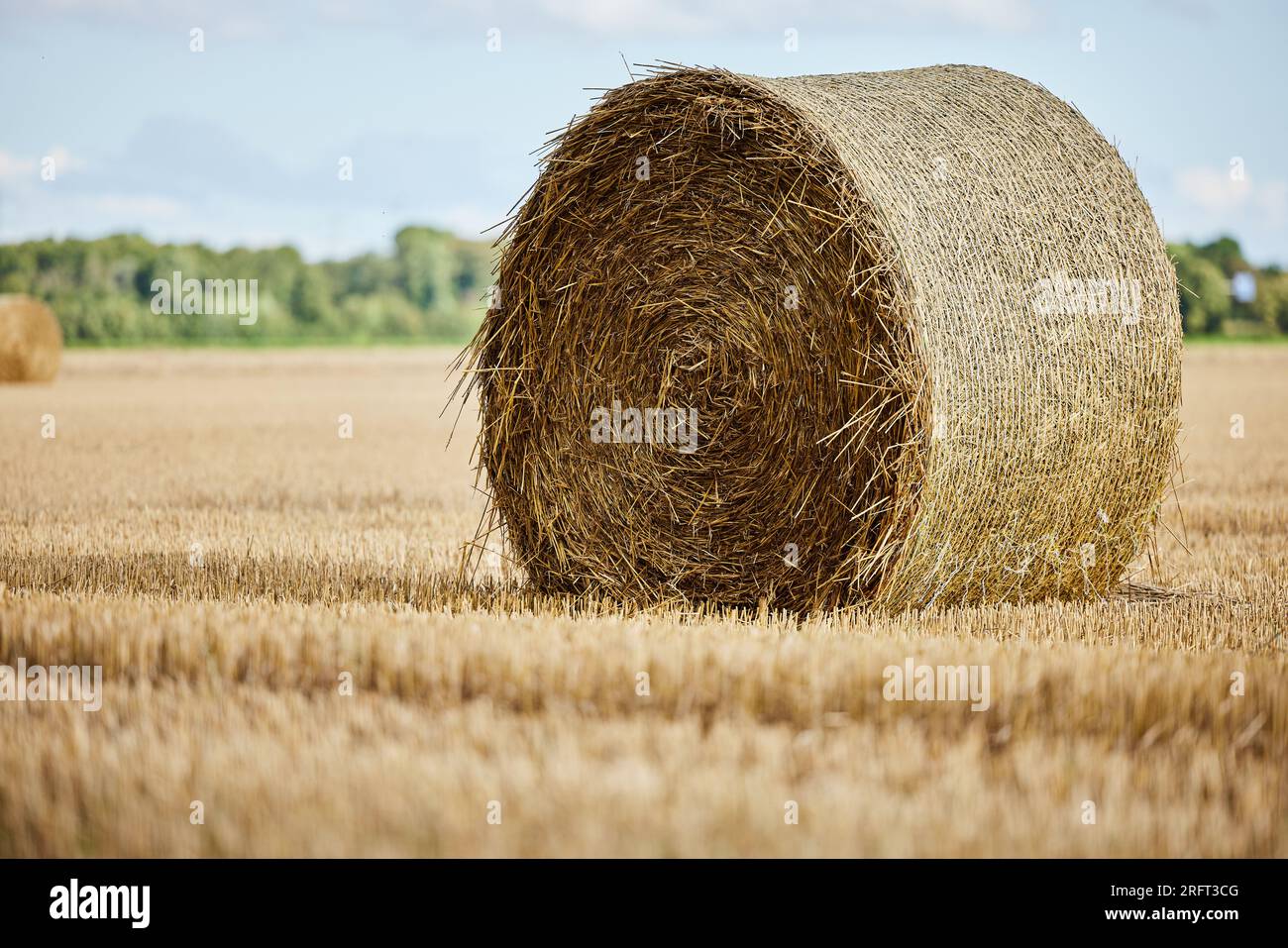 Straw bales lying on a field near Neuss, Nordrhein-Westfalen Stock Photo
