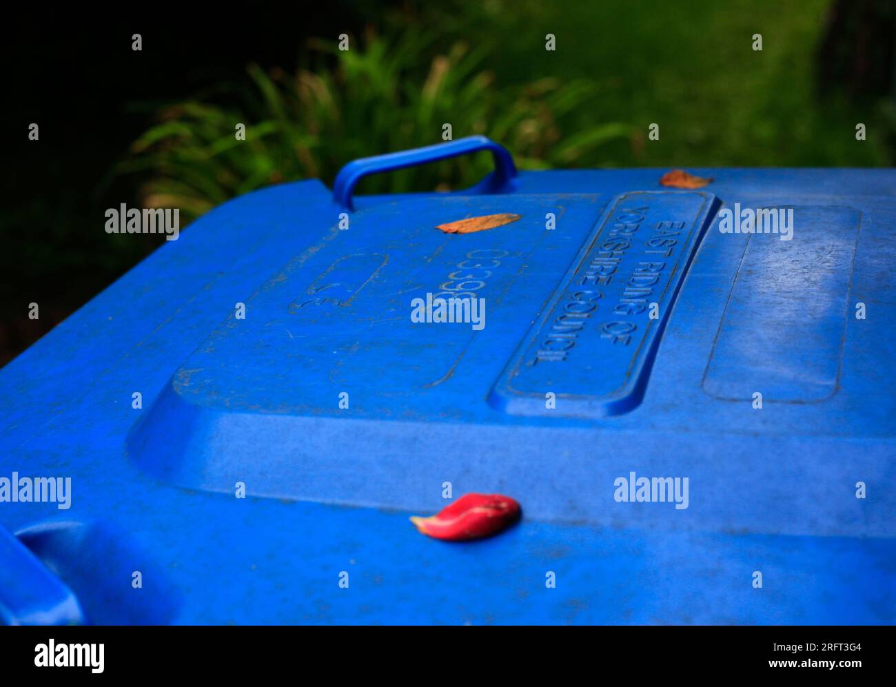 Sustainability, recycle Blue mixed recycling bins in garden, East