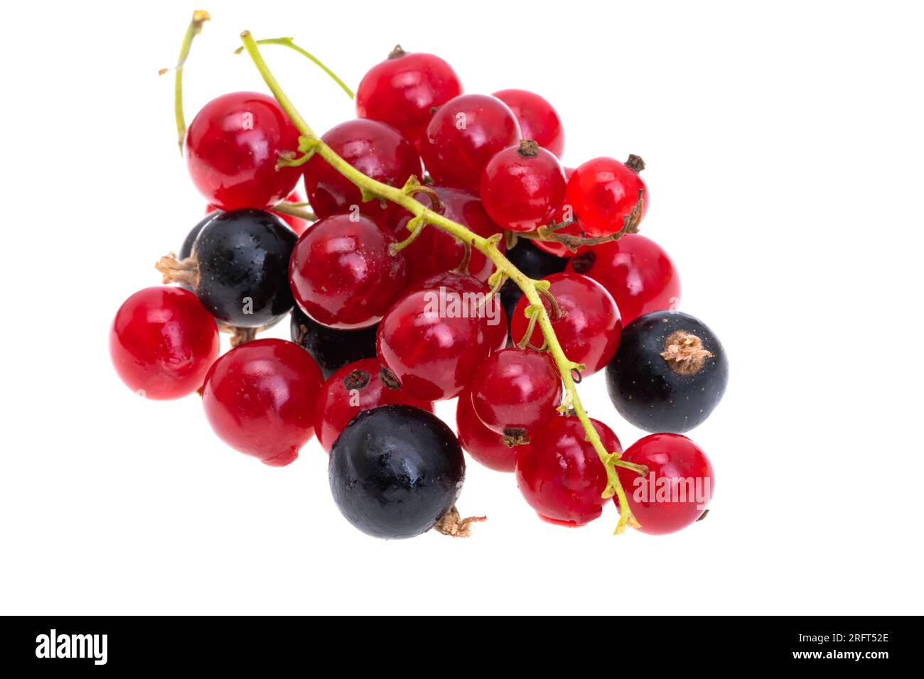 currant berries isolated on white background Stock Photo - Alamy