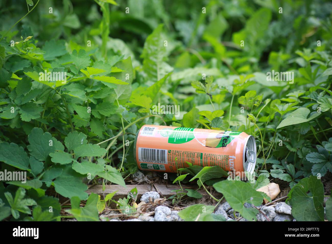Canette de jus de fruits abandonnée dans l'herbe. Saint-Gervais-les-Bains. Haute-Savoie. Auvergne-Rhône-Alpes. France. Europe. Stock Photo