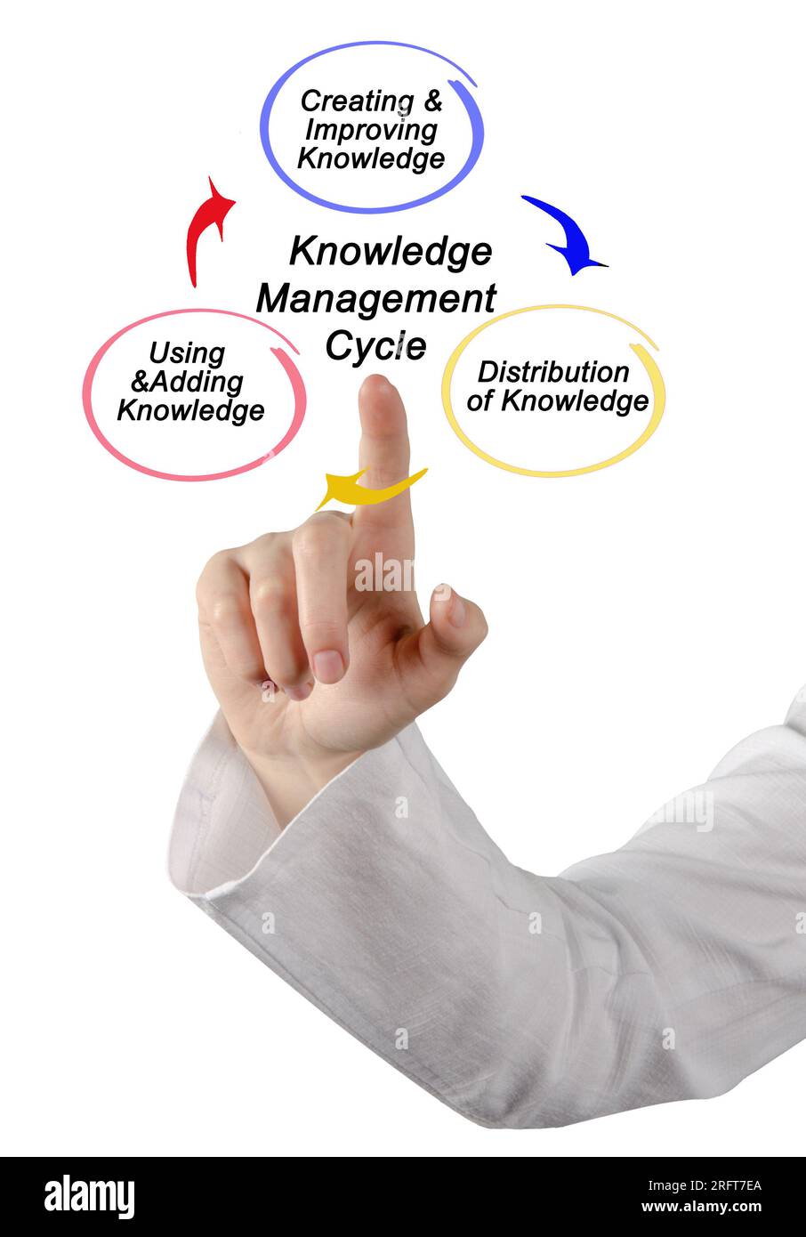 Components of Knowledge Management Cycle Stock Photo Alamy