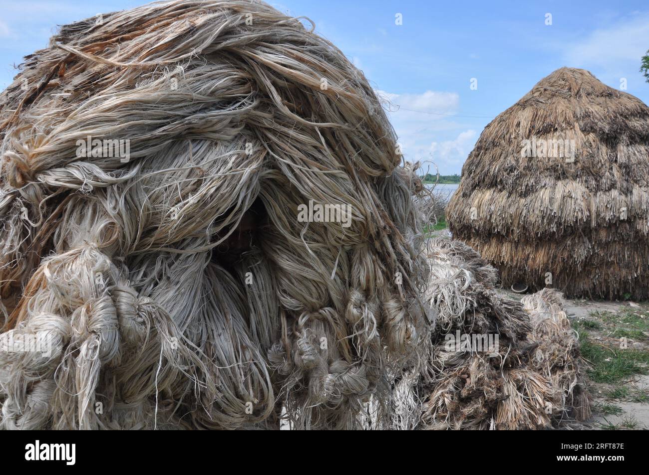 The jute industry Historically and culturally important industry in