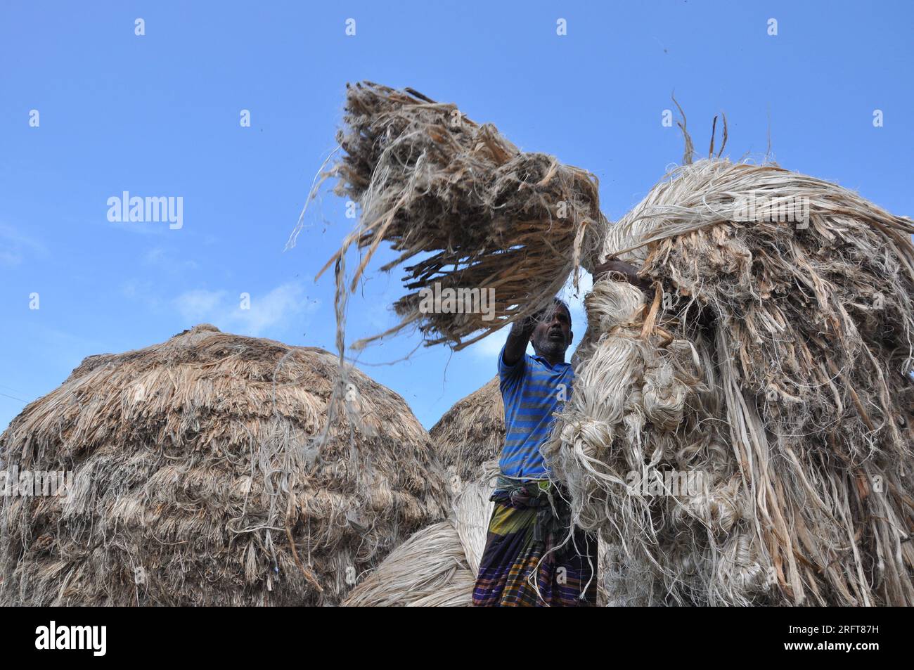 The jute industry Historically and culturally important industry in