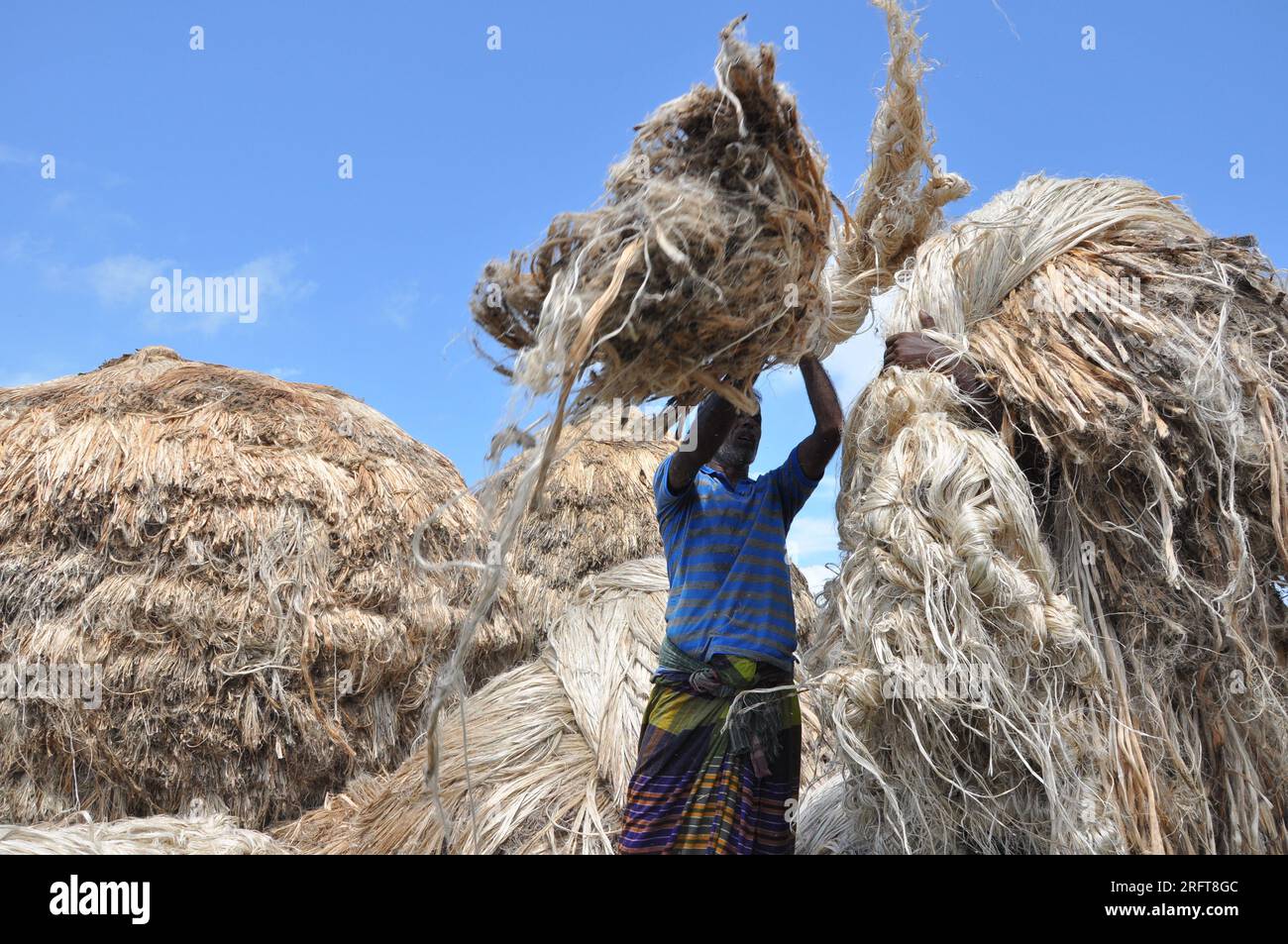 The jute industry Historically and culturally important industry in