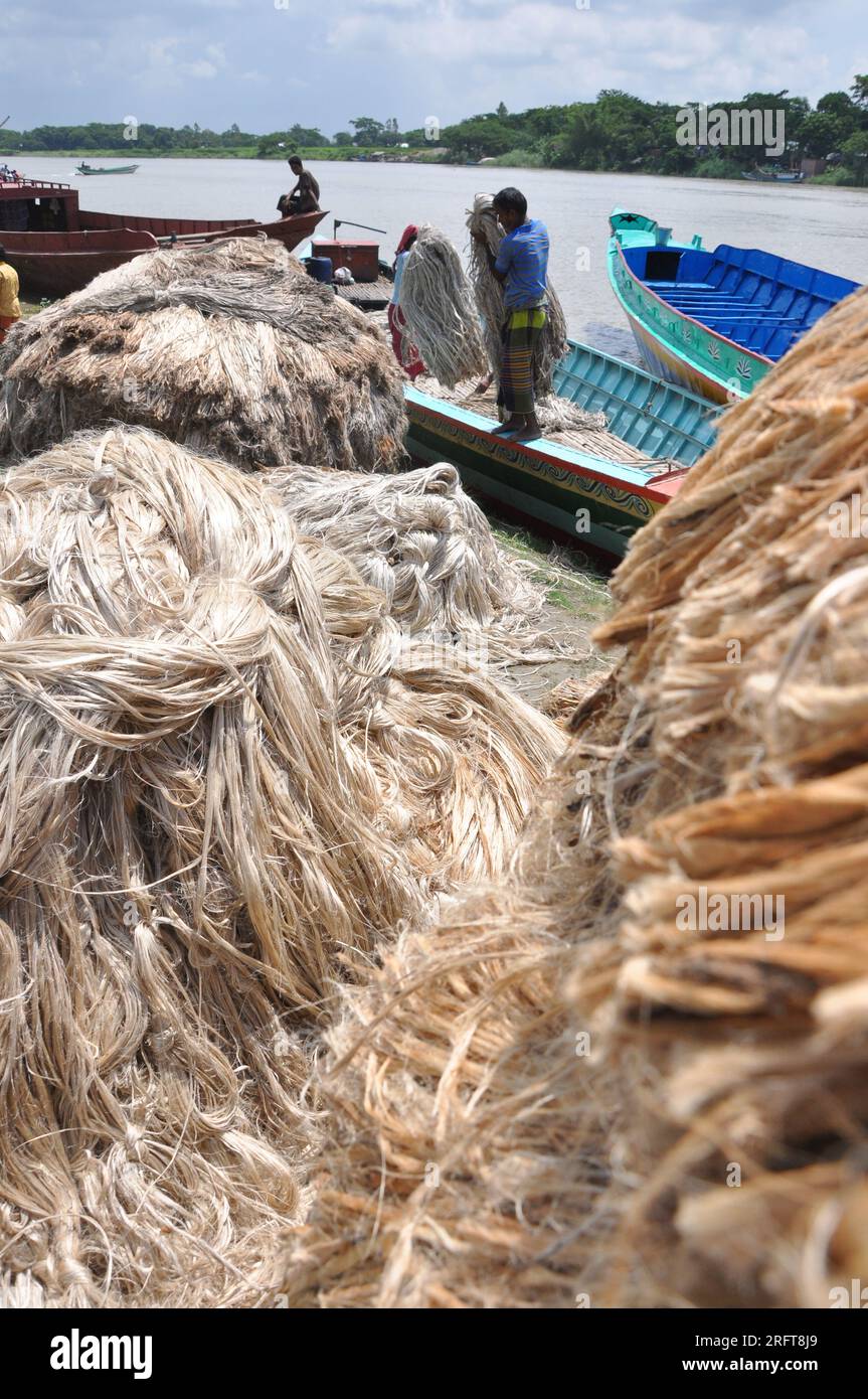 The jute industry Historically and culturally important industry in