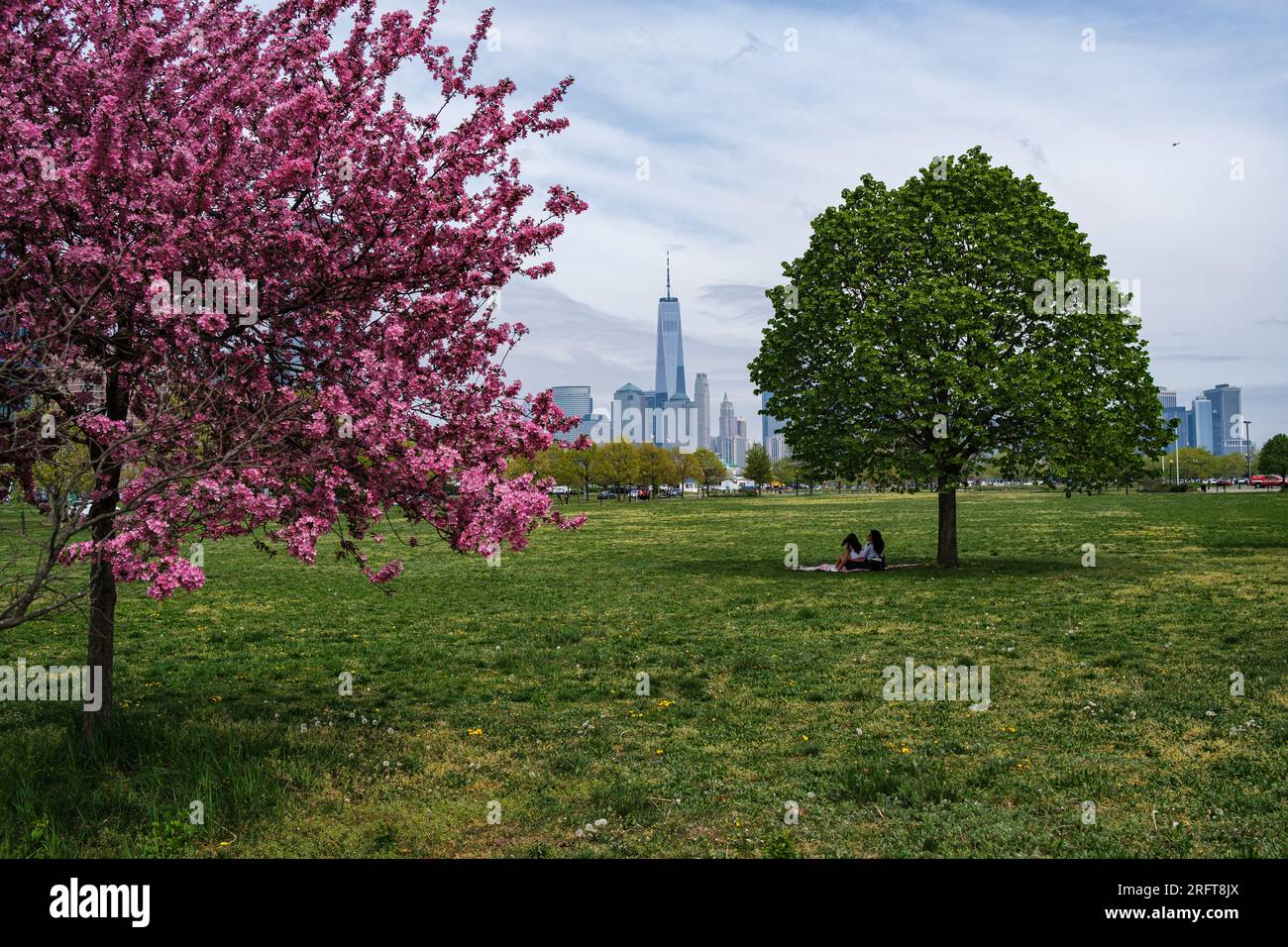 Blossoming tranquility at Liberty State Park, Jersey City. Picnic beneath cherry blossoms, Manhattan's skyline afar. Nature and urban grace unite. Stock Photo