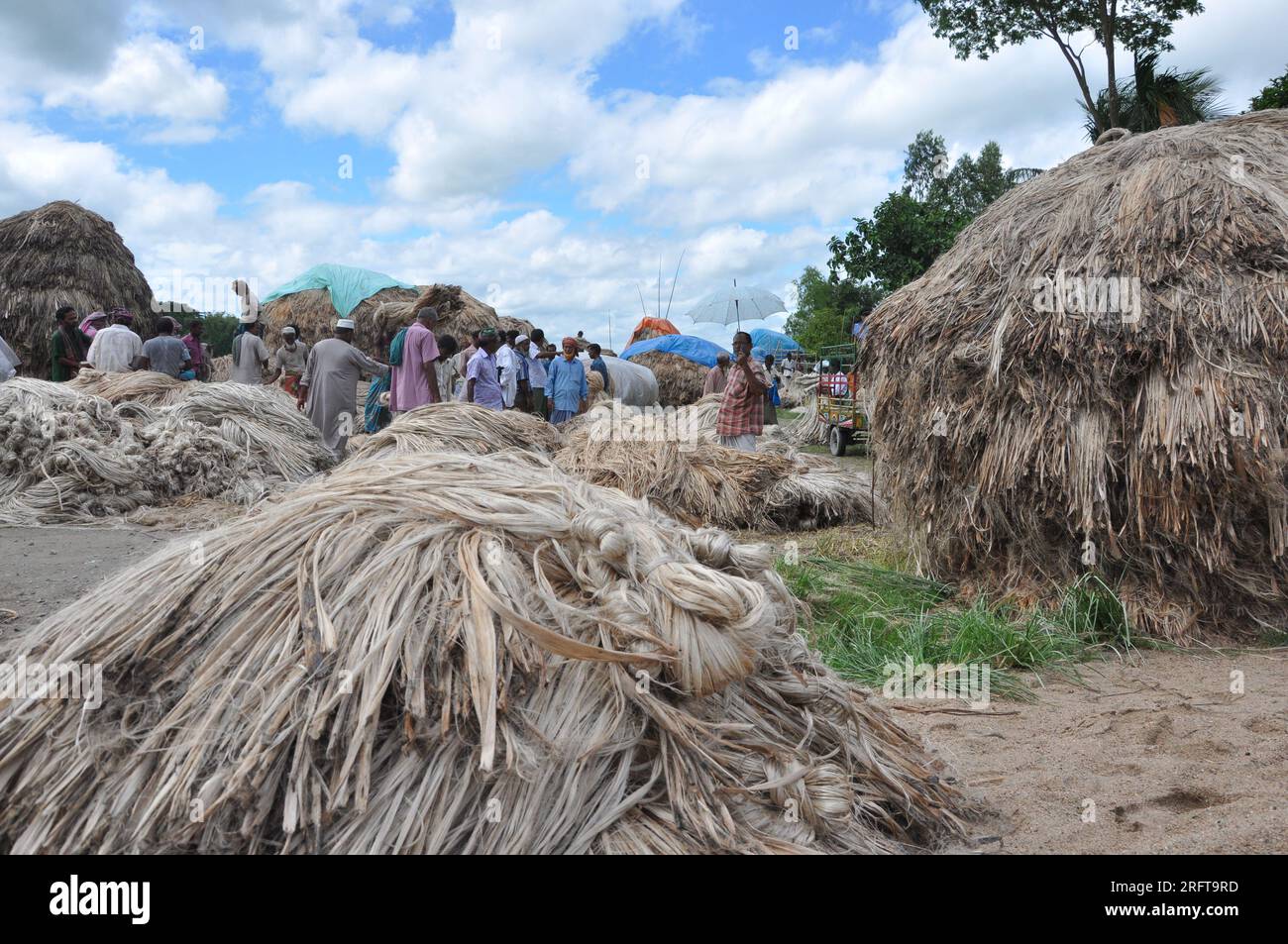 The jute industry Historically and culturally important industry in
