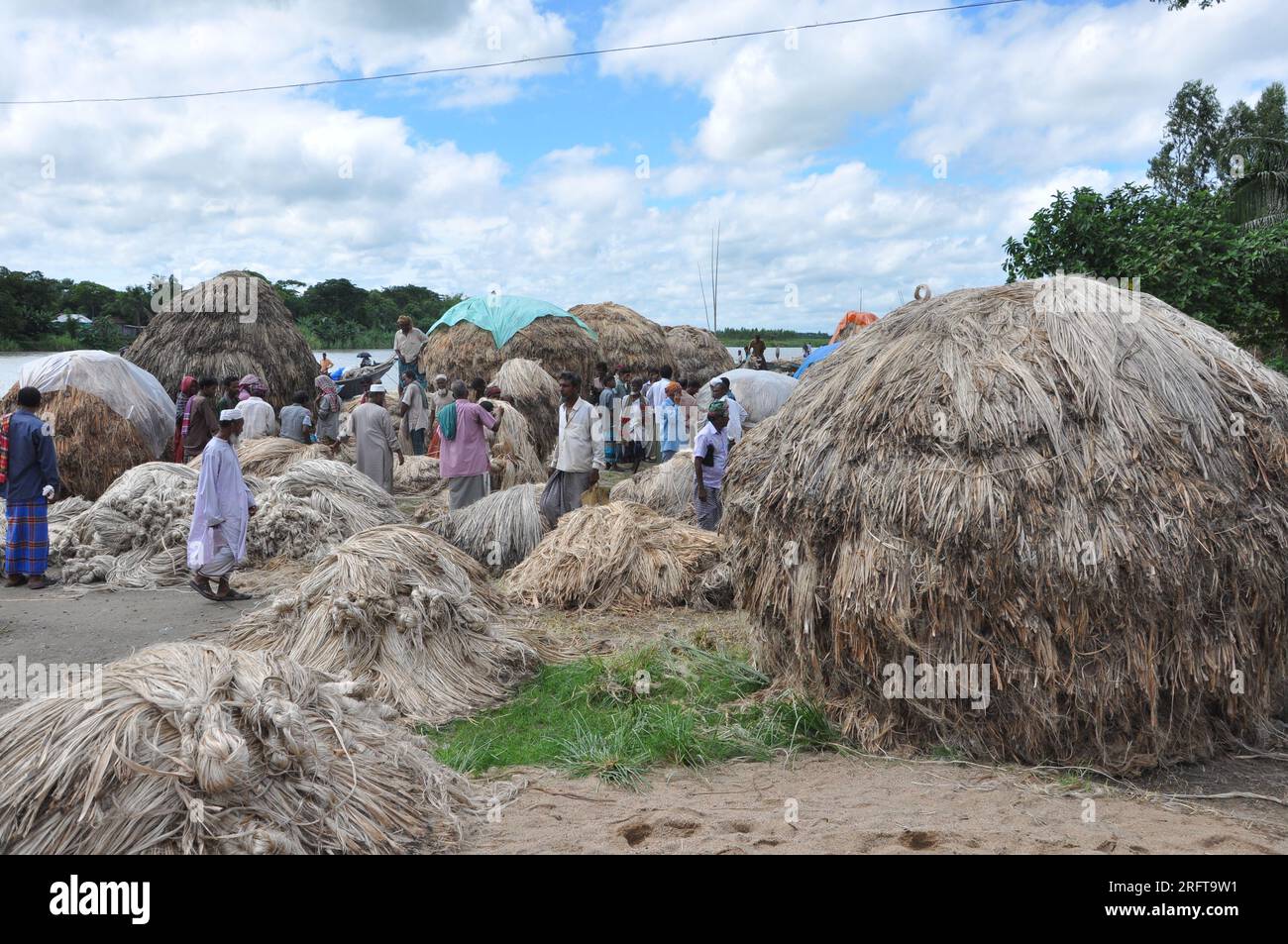 The jute industry Historically and culturally important industry in