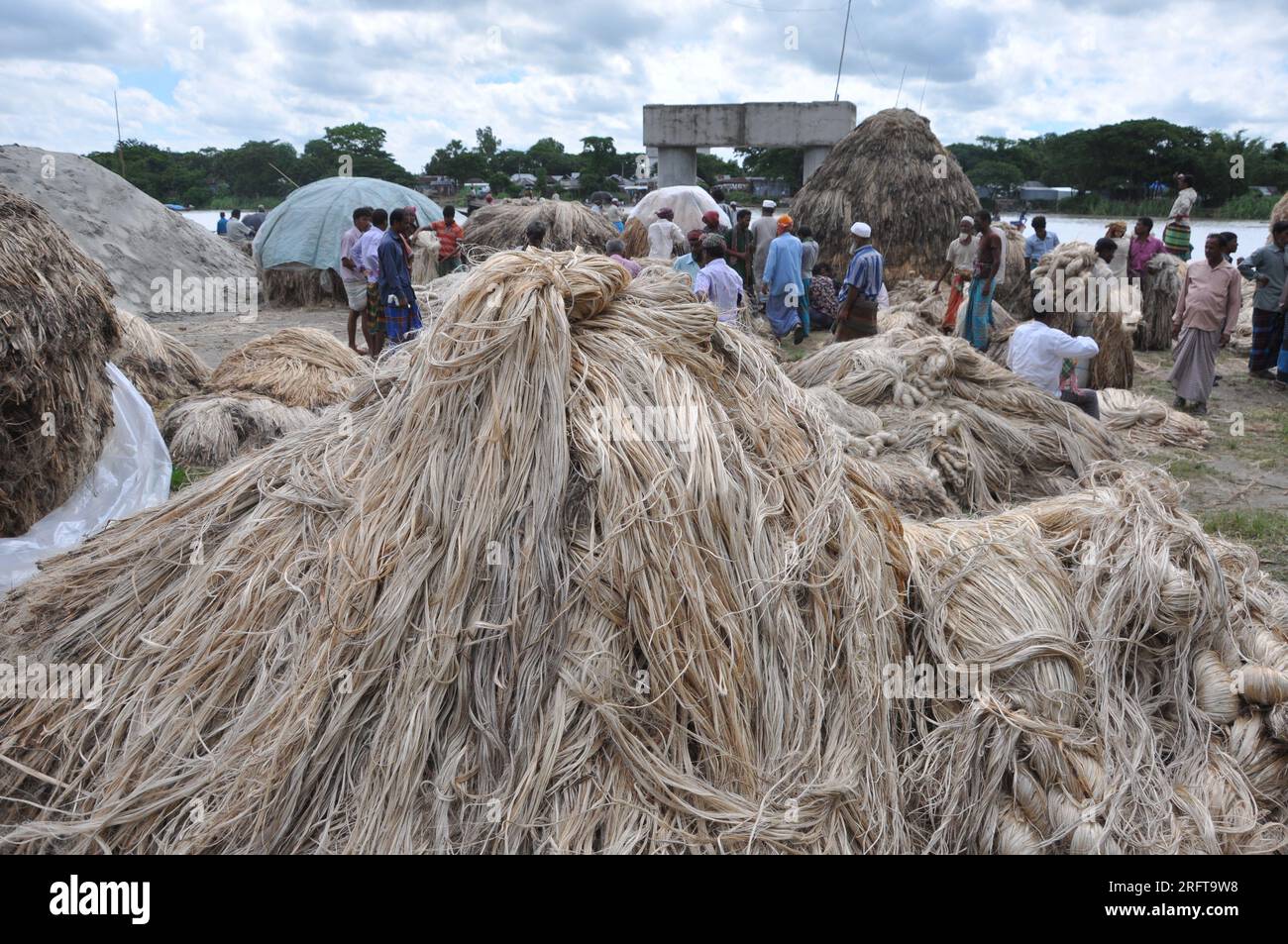 The jute industry Historically and culturally important industry in