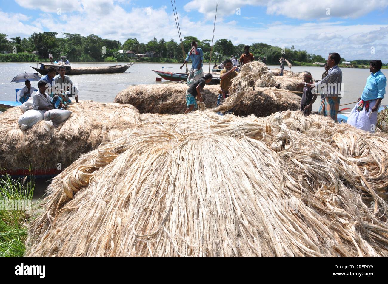 The jute industry Historically and culturally important industry in