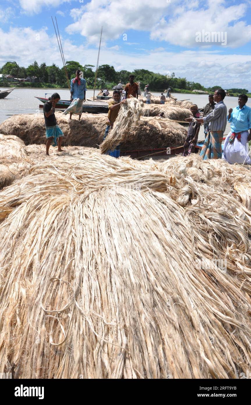 The jute industry Historically and culturally important industry in