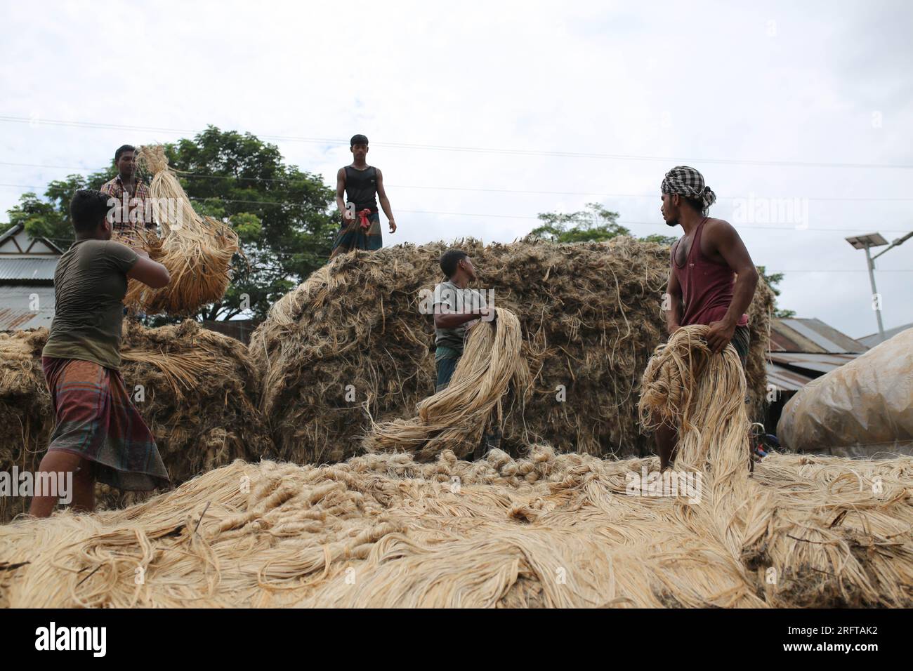 The jute industry Historically and culturally important industry in