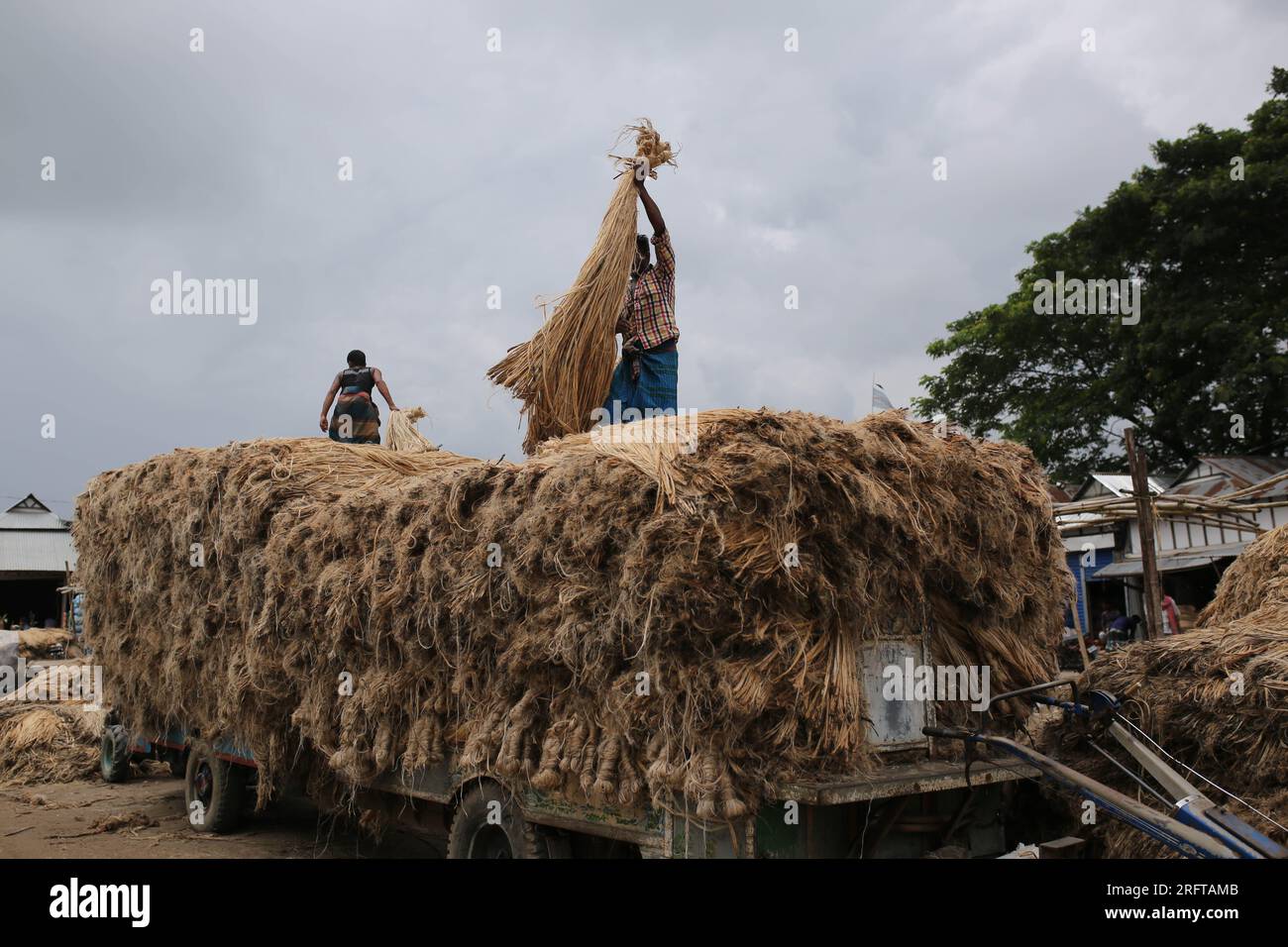 The jute industry Historically and culturally important industry in