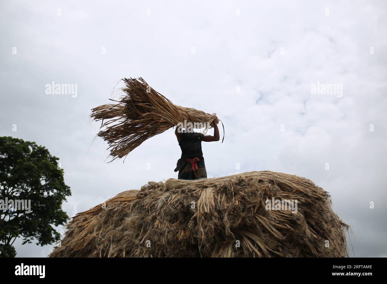 The jute industry Historically and culturally important industry in