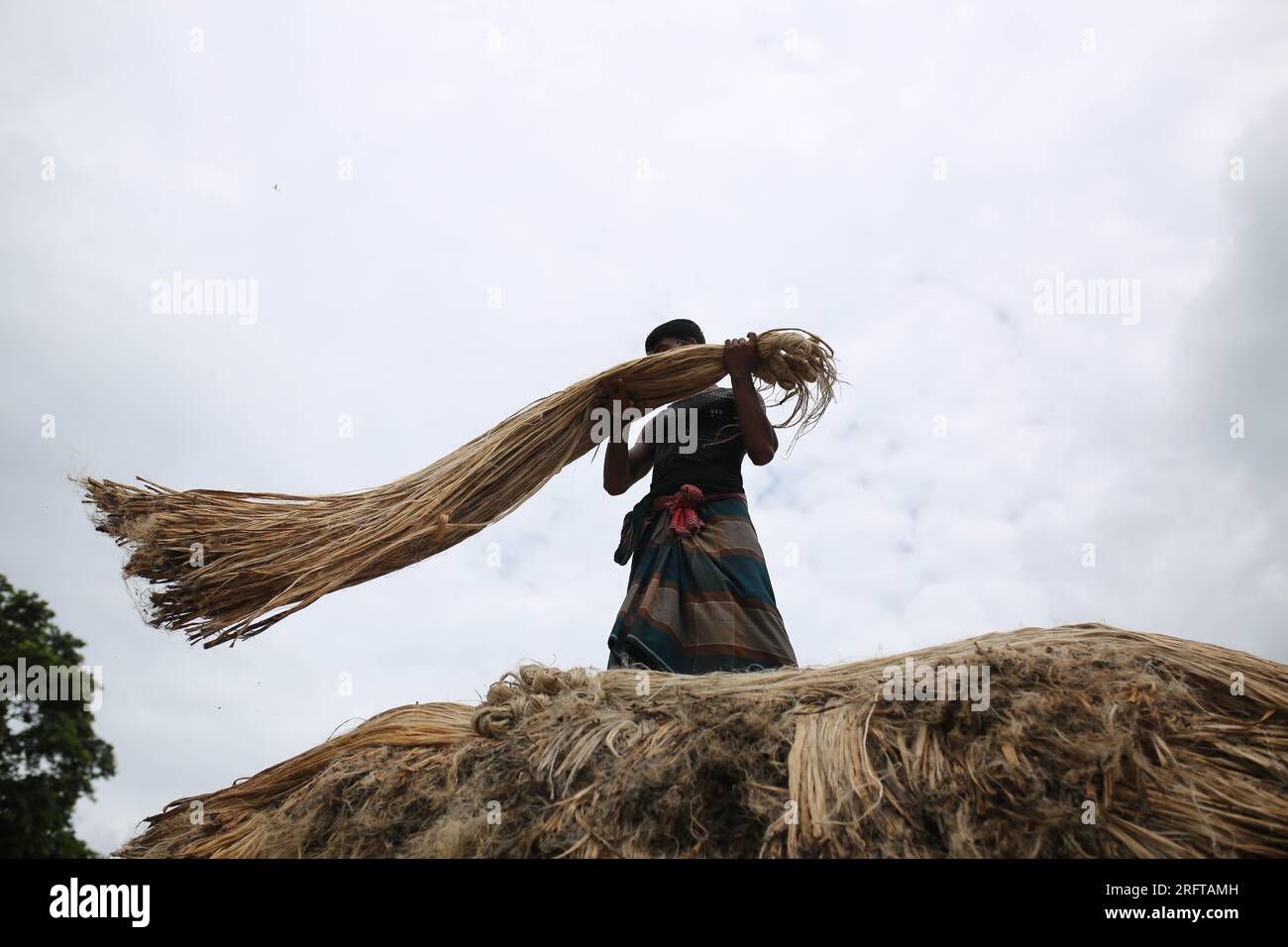 The jute industry Historically and culturally important industry in