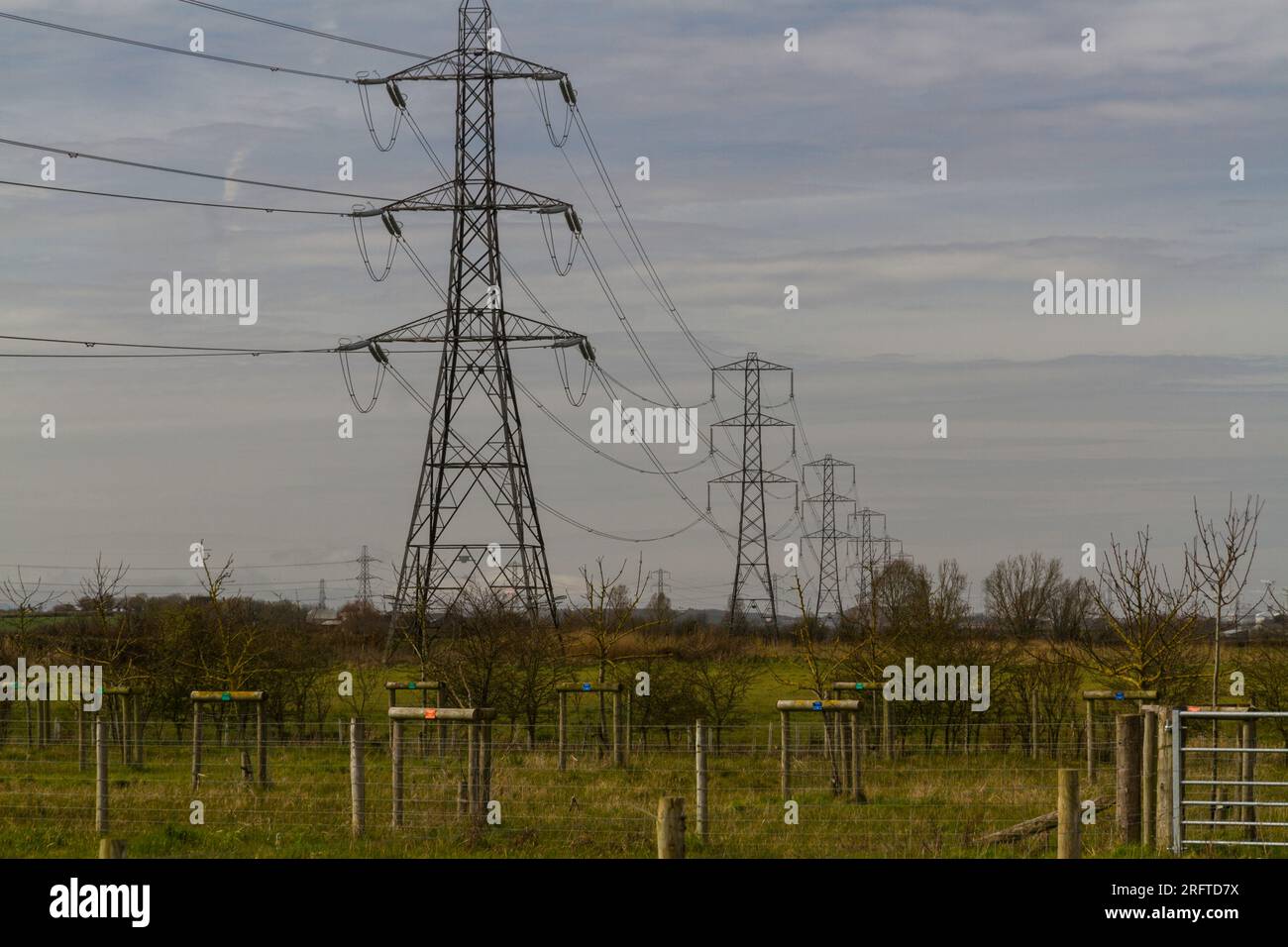 Line of electric pylons into distance above countryside, landscape