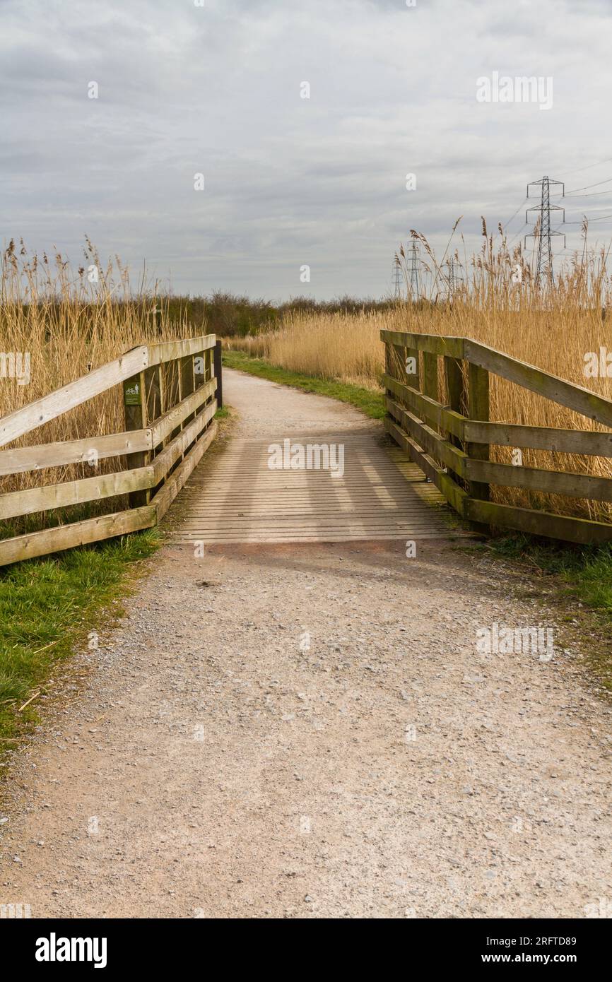 Gravel path with wooden footbridge, on sunny day, portrait Stock Photo ...