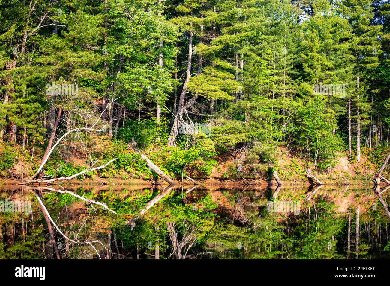 Reflection of trees in the calm water of the Rainbow Flowage in