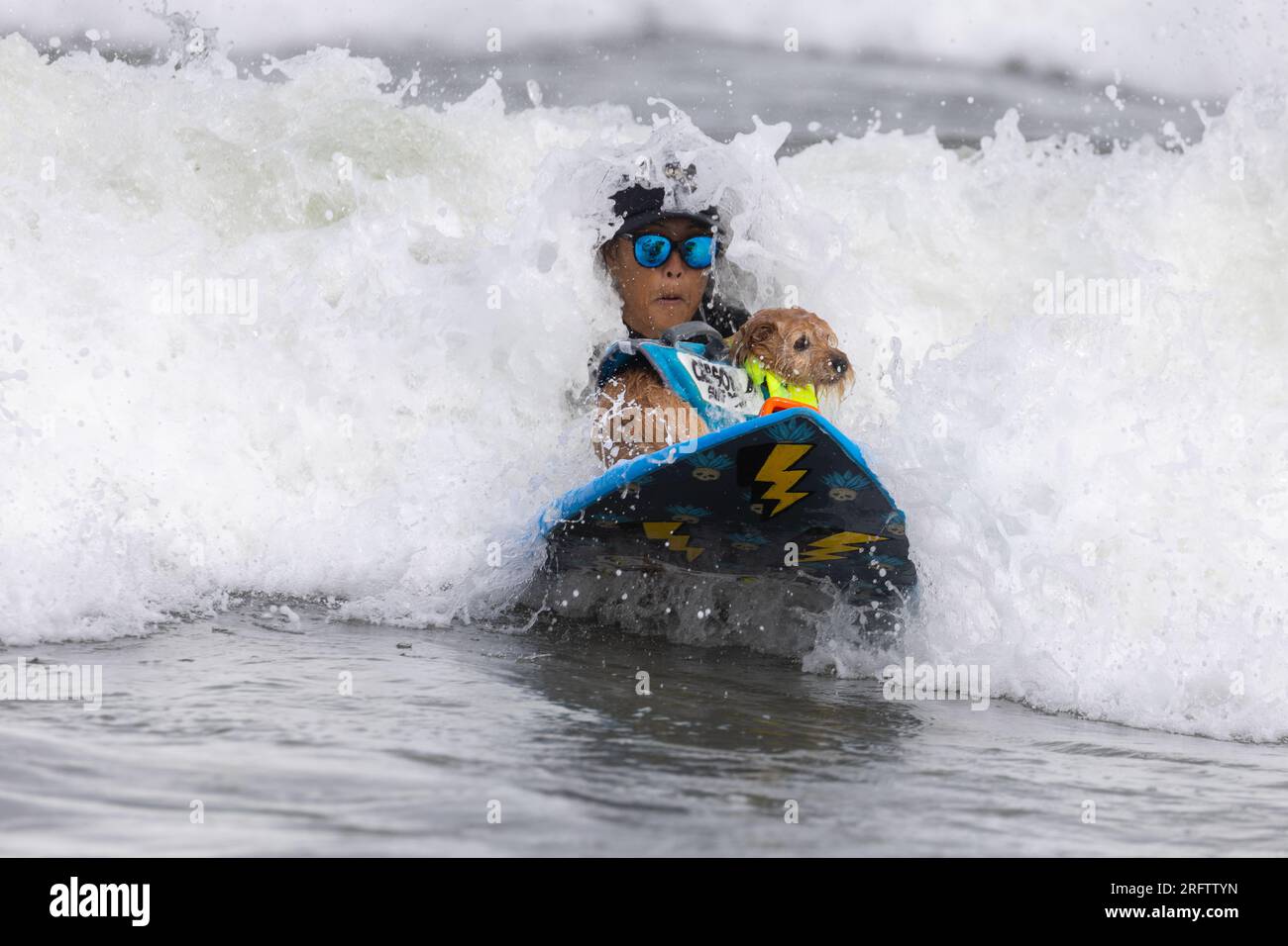Pacifica, California, USA. 5th Aug, 2023. Catching waves and wagging tails at the 2023 World Dog Surfing Championship in Pacifica, California. Furry daredevils ride the wild surf in an annual contest benefiting local charities. Credit: Tim Fleming/Alamy Live News Stock Photo
