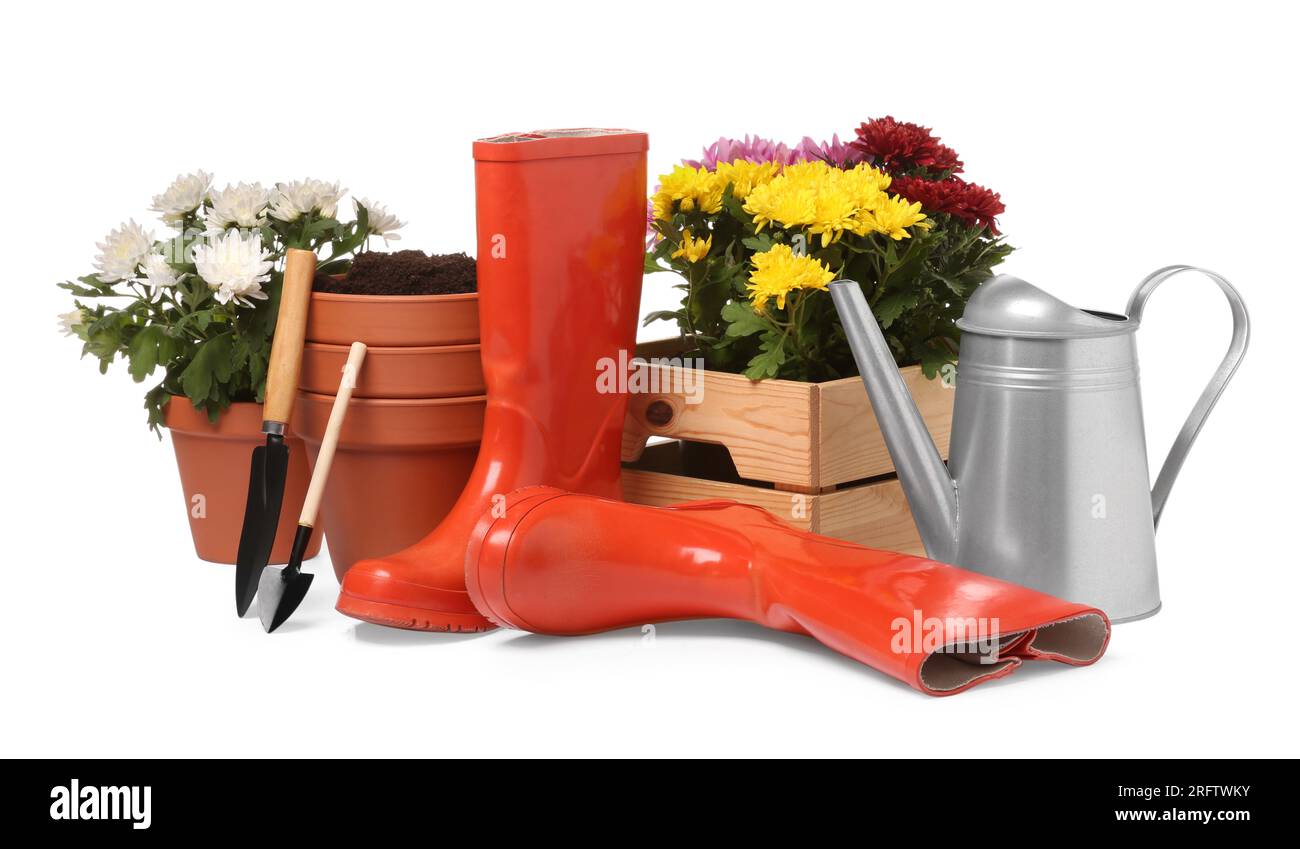 Beautiful flowers, pots, rubber boots and gardening tools isolated on ...