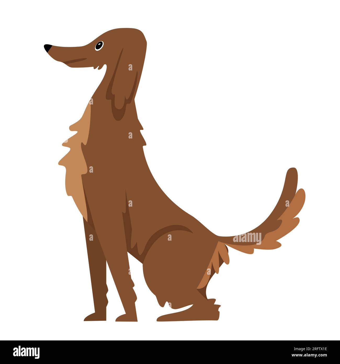 Breed dog in sitting position. Family doggy pet, fluffy puppy best