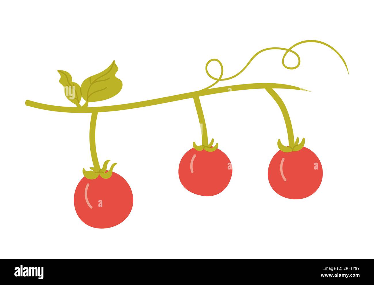 Cherry tomatoes on branch. Healthy vegetables, salad ingredients vector illustration Stock Vector