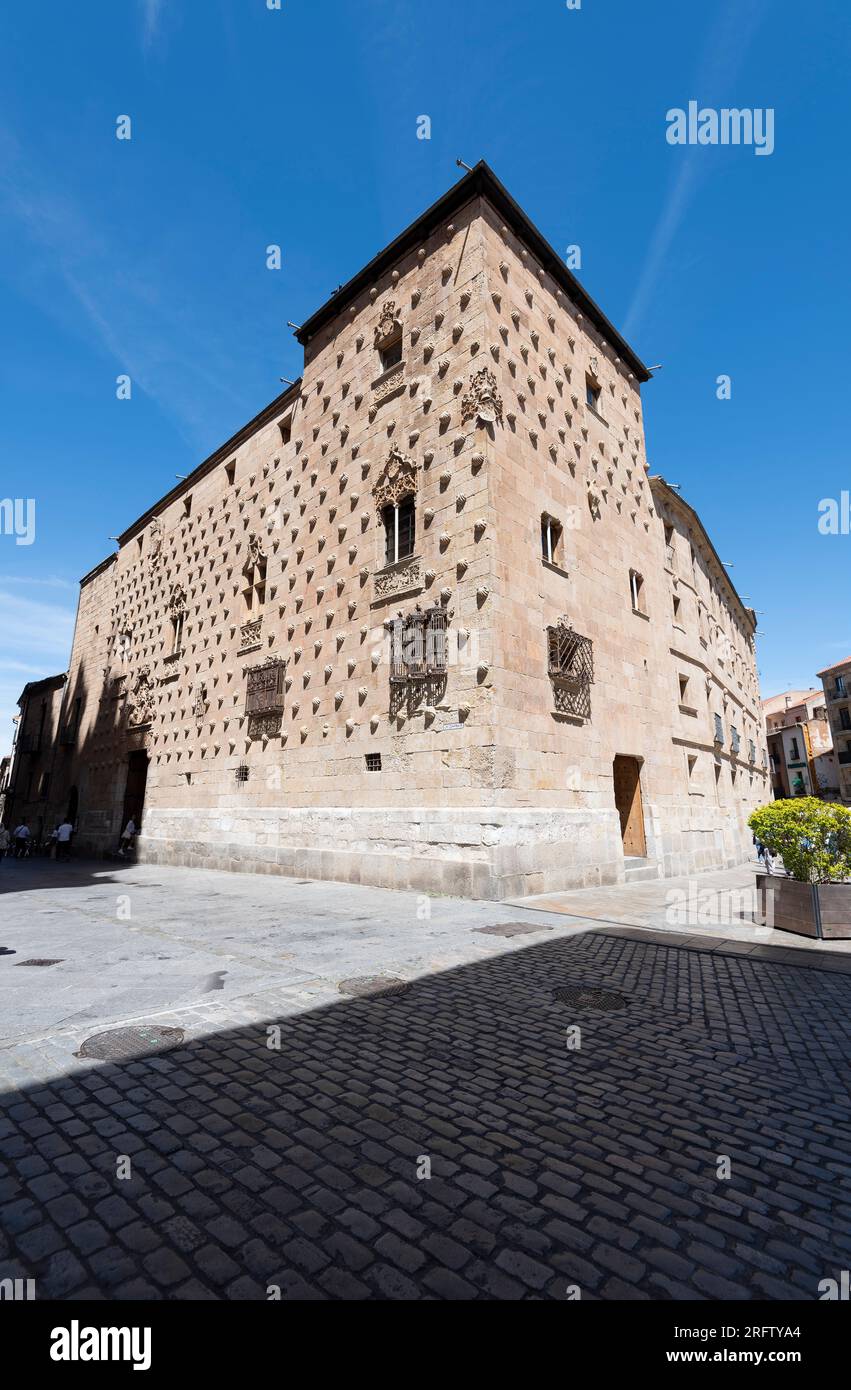 Casa de las Conchas palacio del renacimiento y actual biblioteca publica de Salamanca Stock Photo