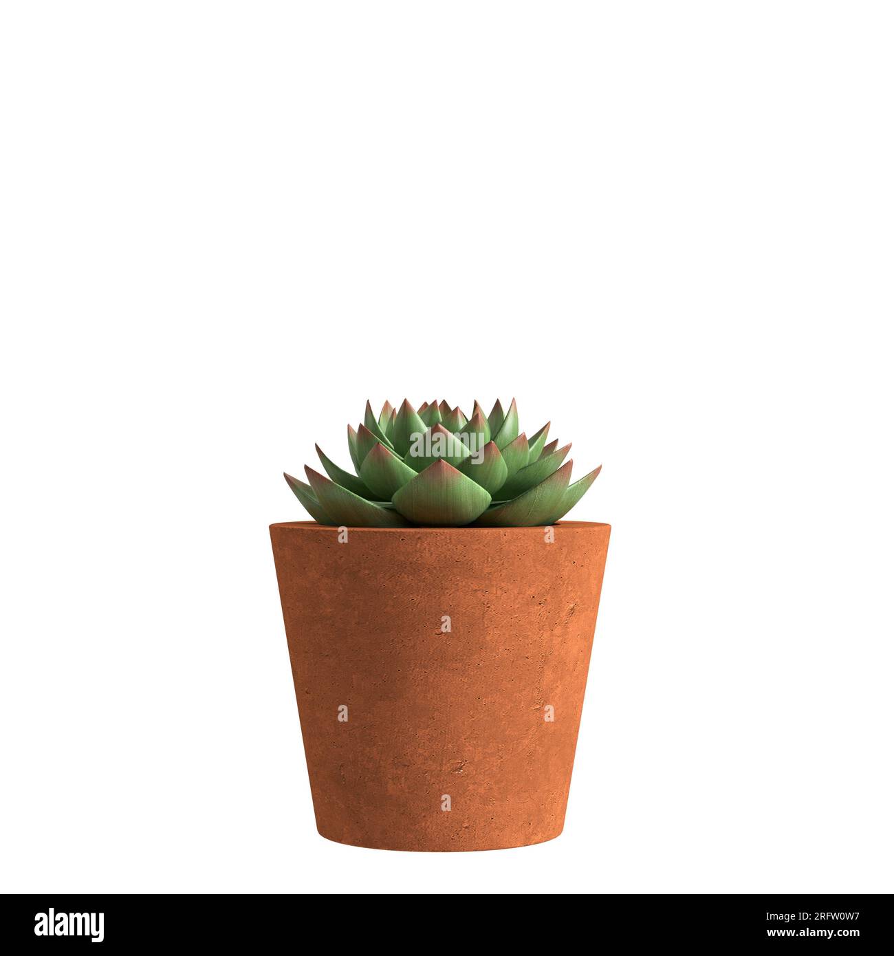 3d illustration of houseplants isolated on white background Stock Photo