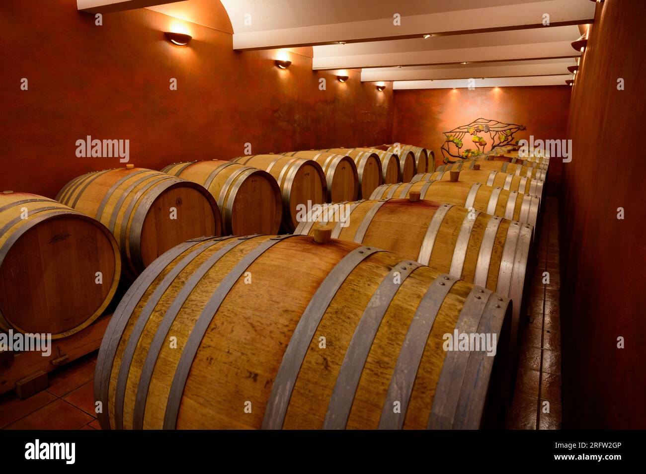 Underground wine cellars with barrels for aging of red dry wine in