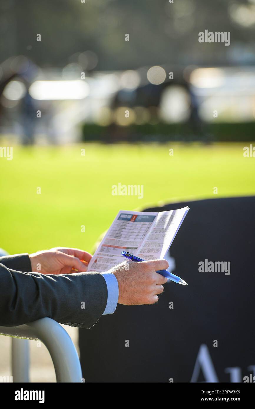 A punter during the race day holding a race book and a pen making notes before the race, horse racing in Australia. Stock Photo