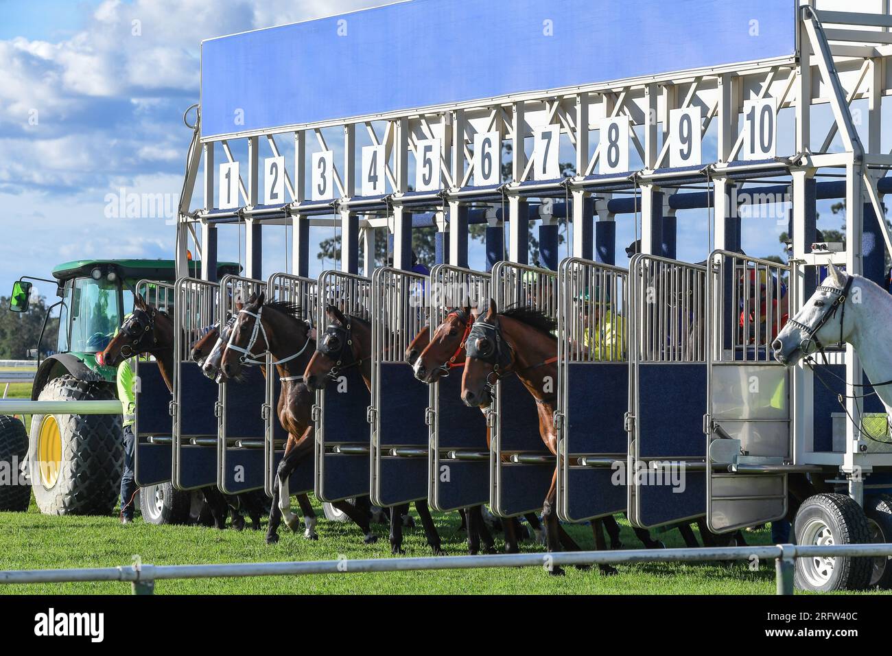 Horse racing start, horses jumping out of starting gates. Horse racing