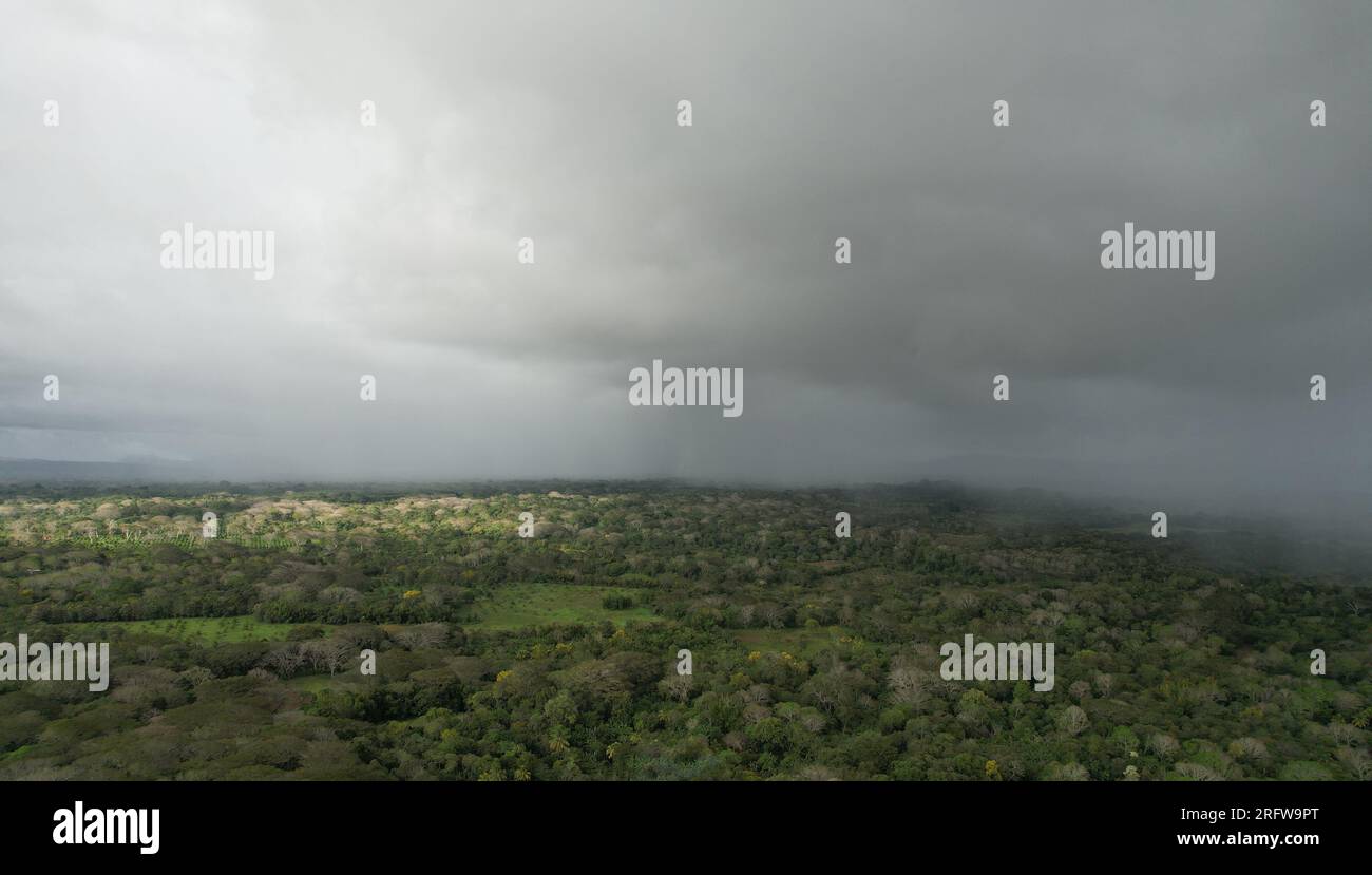 Rain storm over tropical landscape aerial drone view Stock Photo