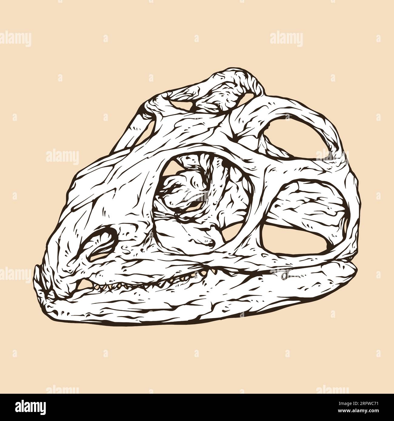 tuatara skull head vector illustration Stock Vector
