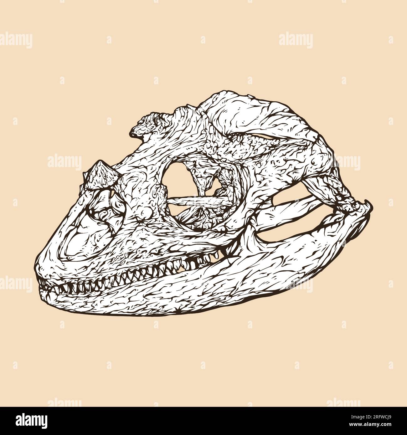 rhino iguana skull head vector illustration Stock Vector