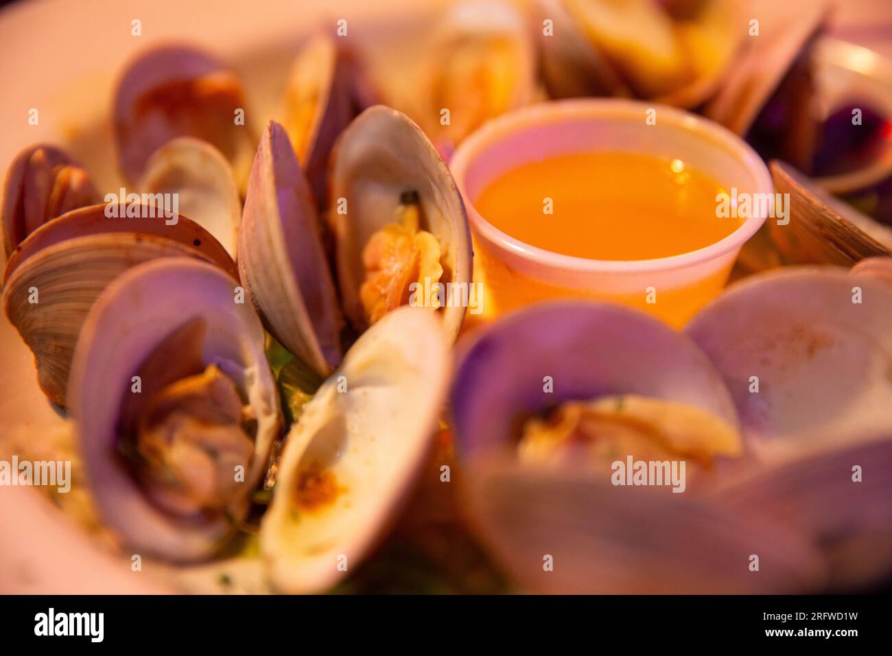 Steamed clams with butter served at a pub Stock Photo Alamy
