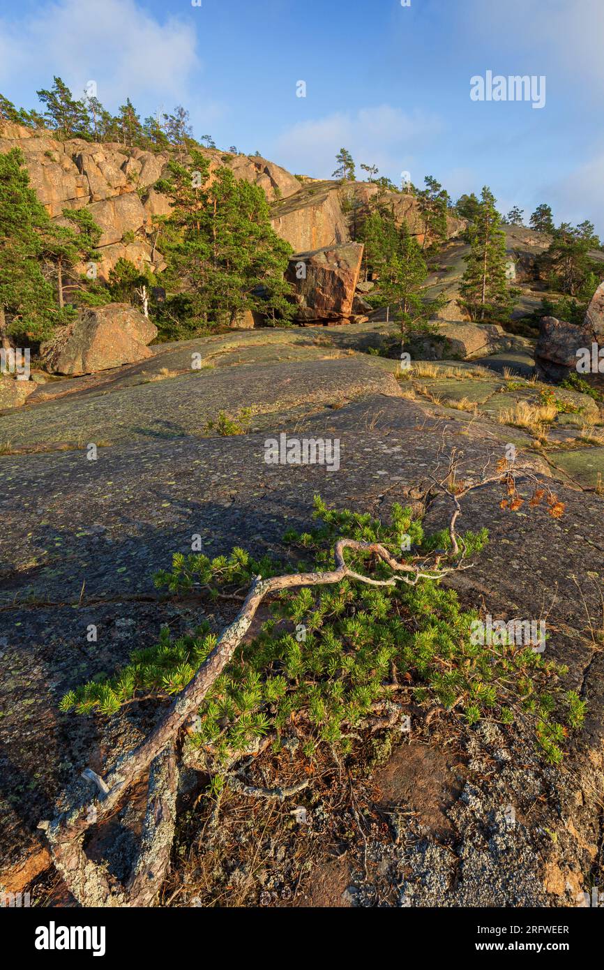 Scenic landscape of rugged rocks and cliffs at Geta in Åland Islands, Finland, on a sunny day in the summer. Off the beaten path in the nature. Stock Photo