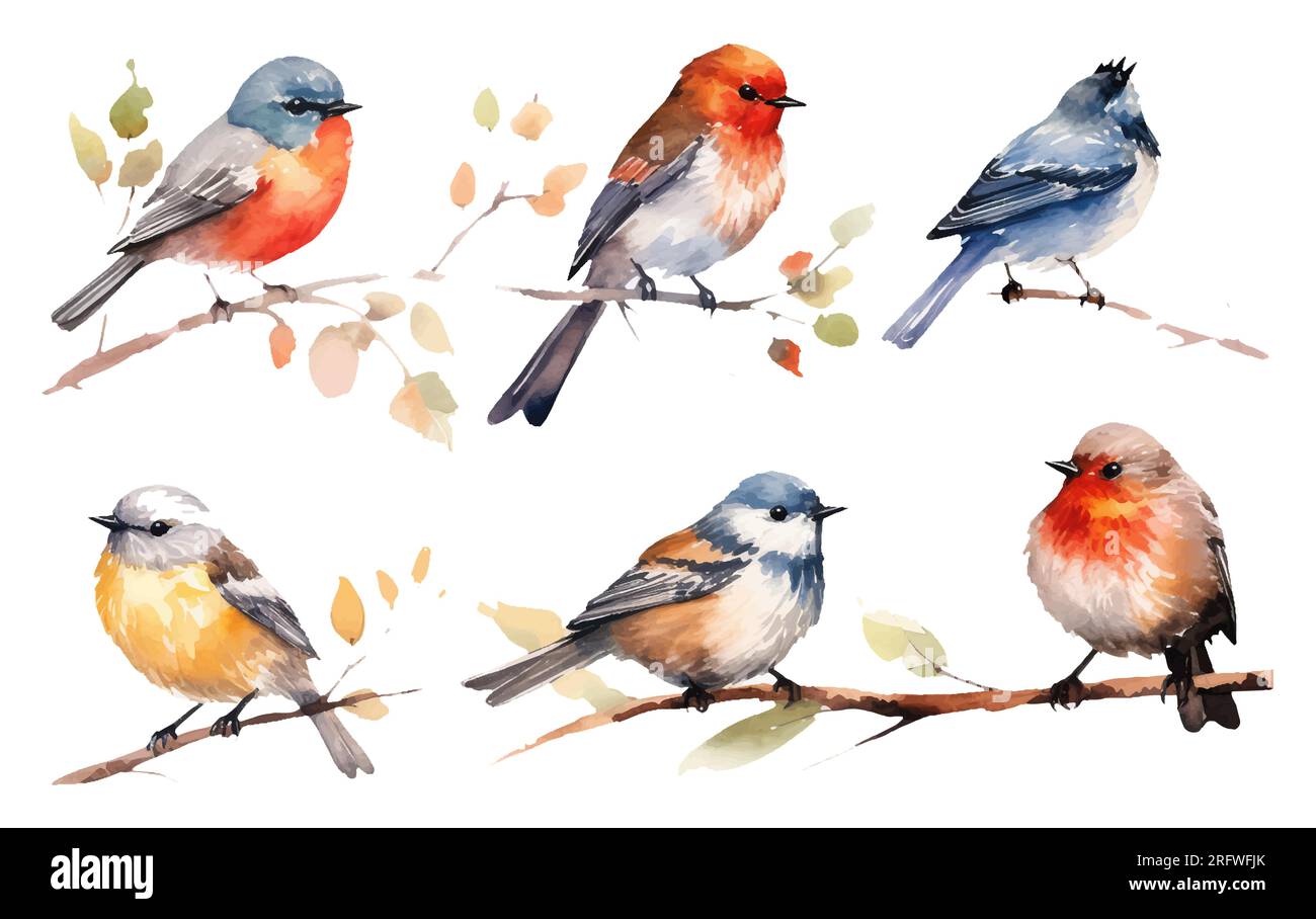 watercolor set vector illustraton of bird on a branch isolated on white ...
