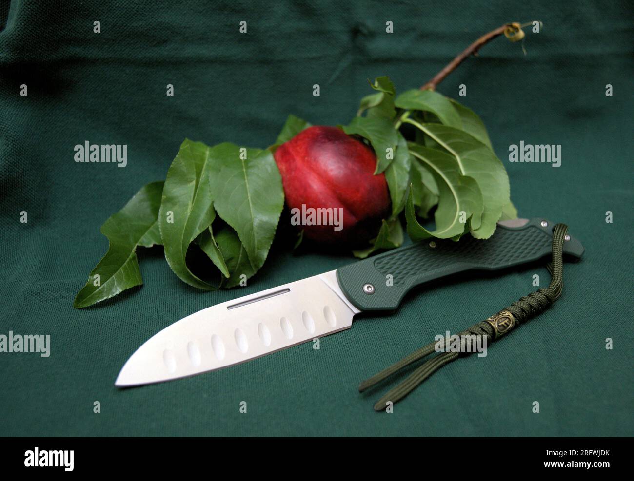 Folding knife cutting steel edge green handle lanyard paracord fresh