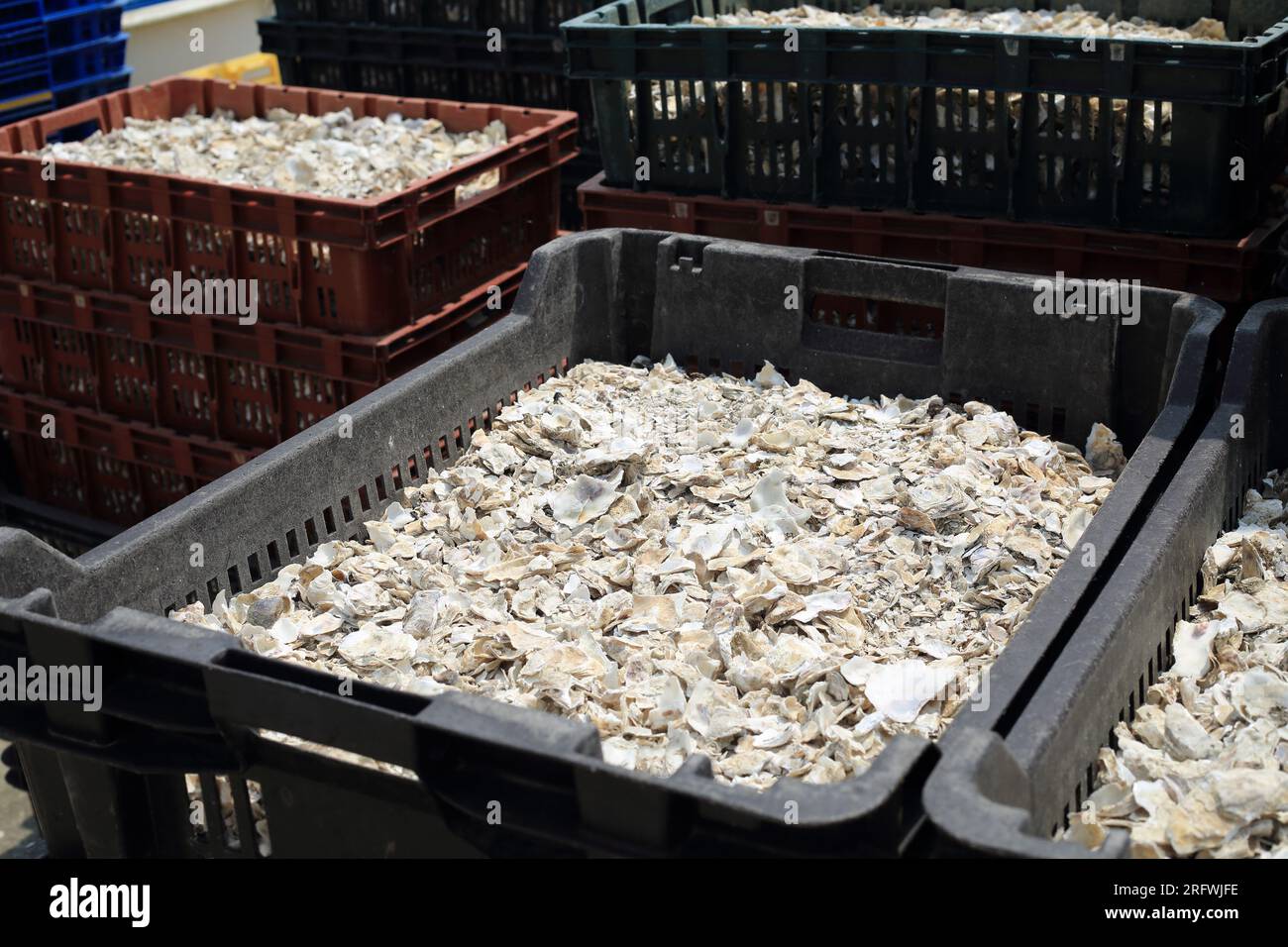 Crushed oyster shells, Le Badel, Sene, Vannes, Morbihan, Brittany