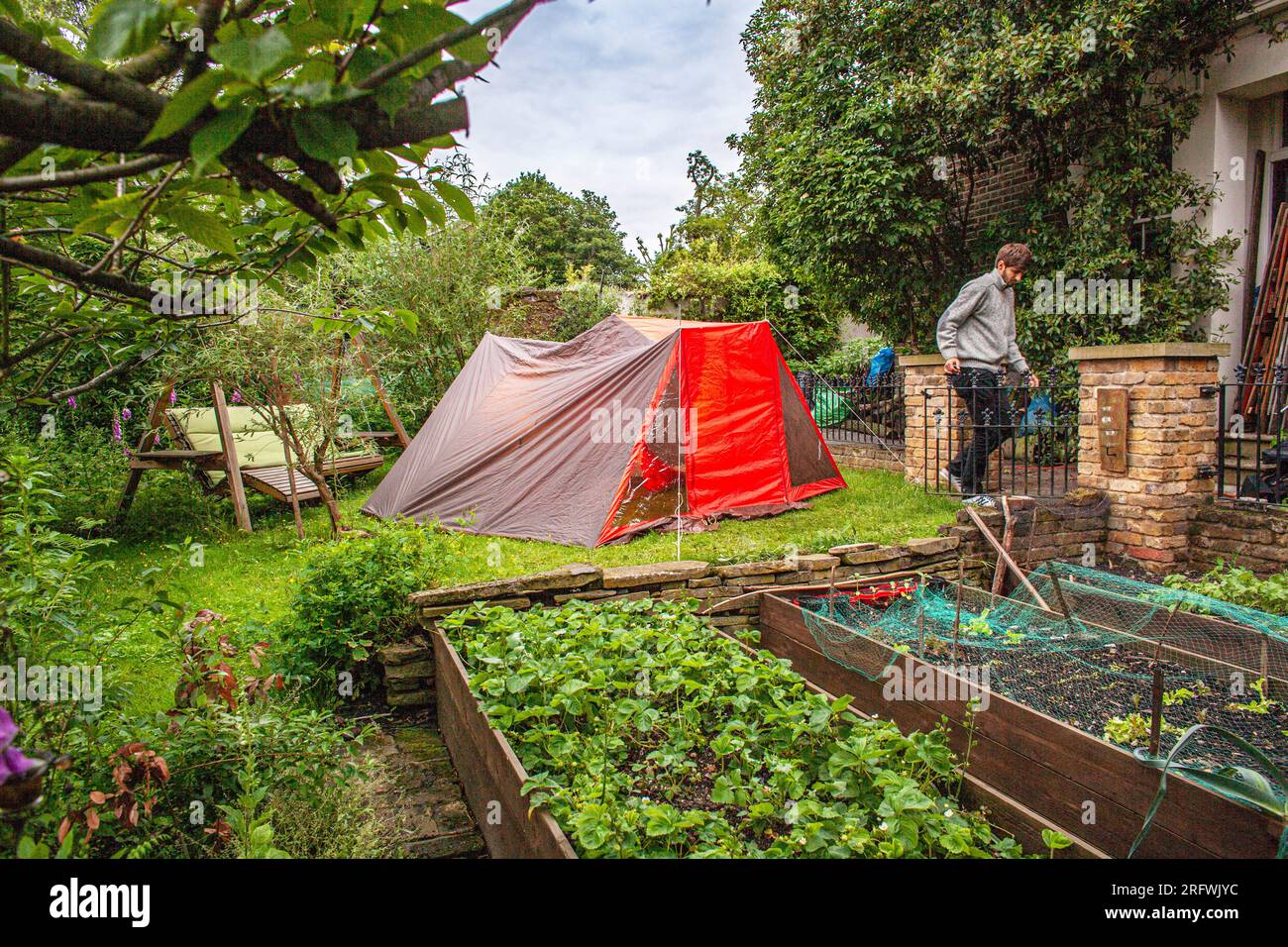 Young man leaving  tent on a lawn in backyard garden , London , United Kingdom Stock Photo