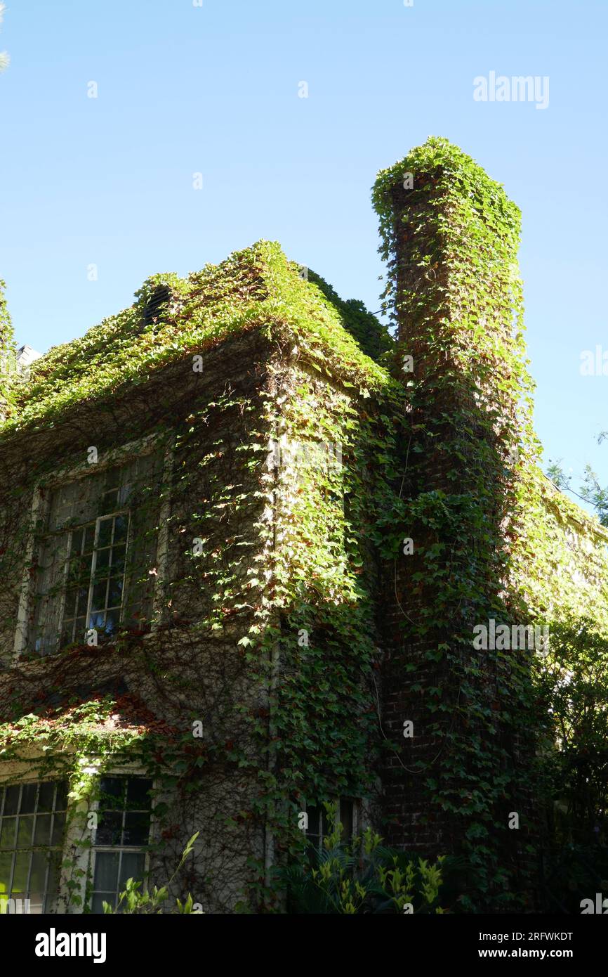 Los Angeles, California, USA 5th August 2023 A general view of