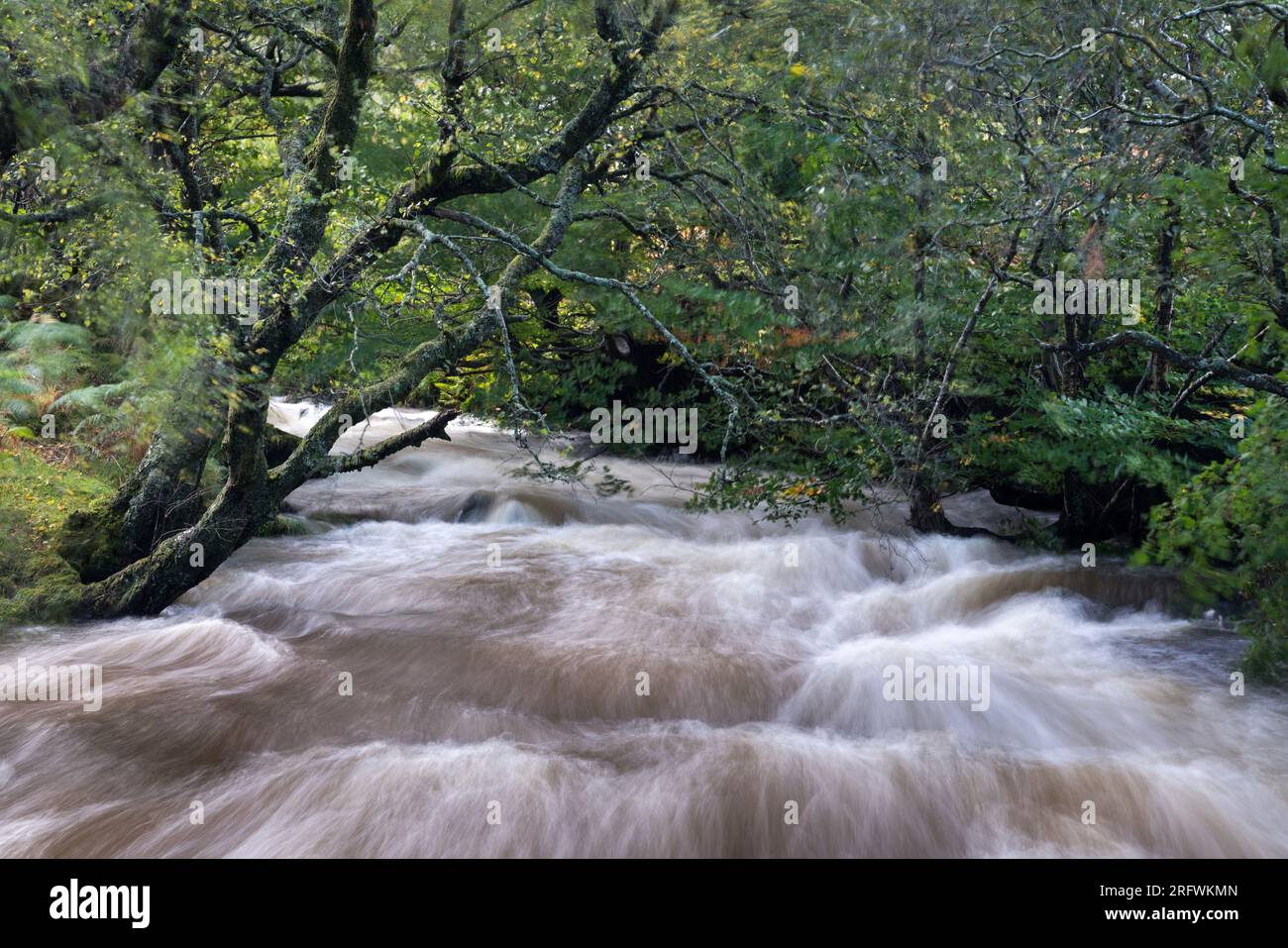 River in spate, Glen Sanox Arran Stock Photo