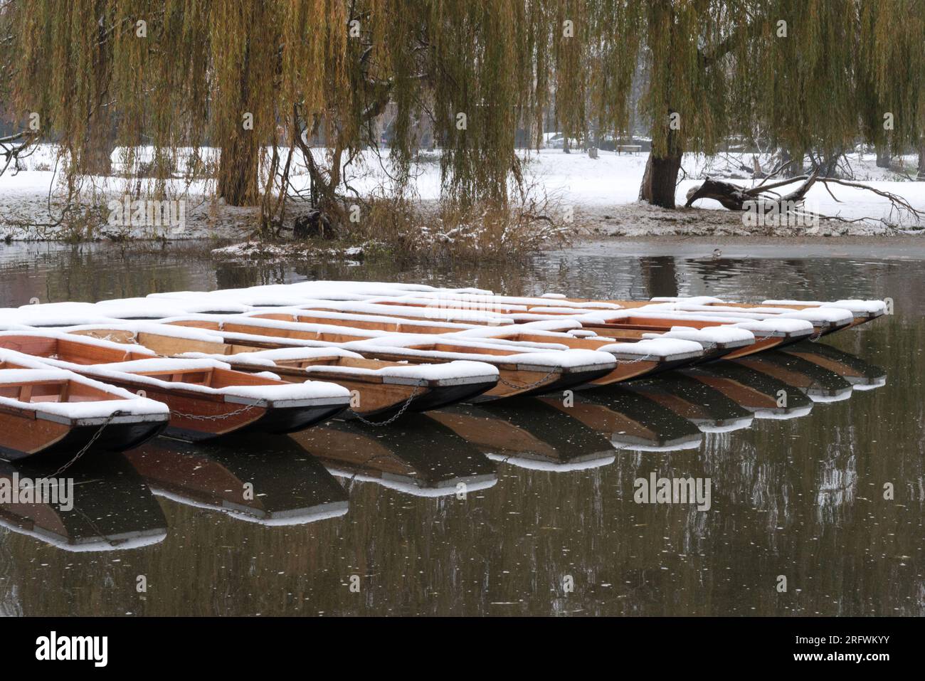 Punts all in a row covered with snow, Mill pond, River Cam, Cambridge Stock Photo